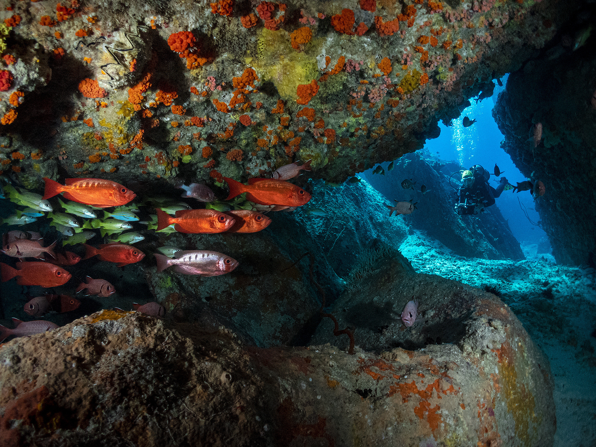 Under water. Your photographer on land and under water— Alexey Zaytsev