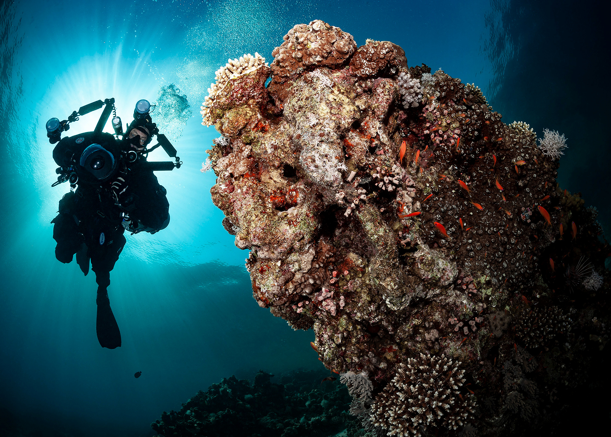 Under water. Your photographer on land and under water— Alexey Zaytsev