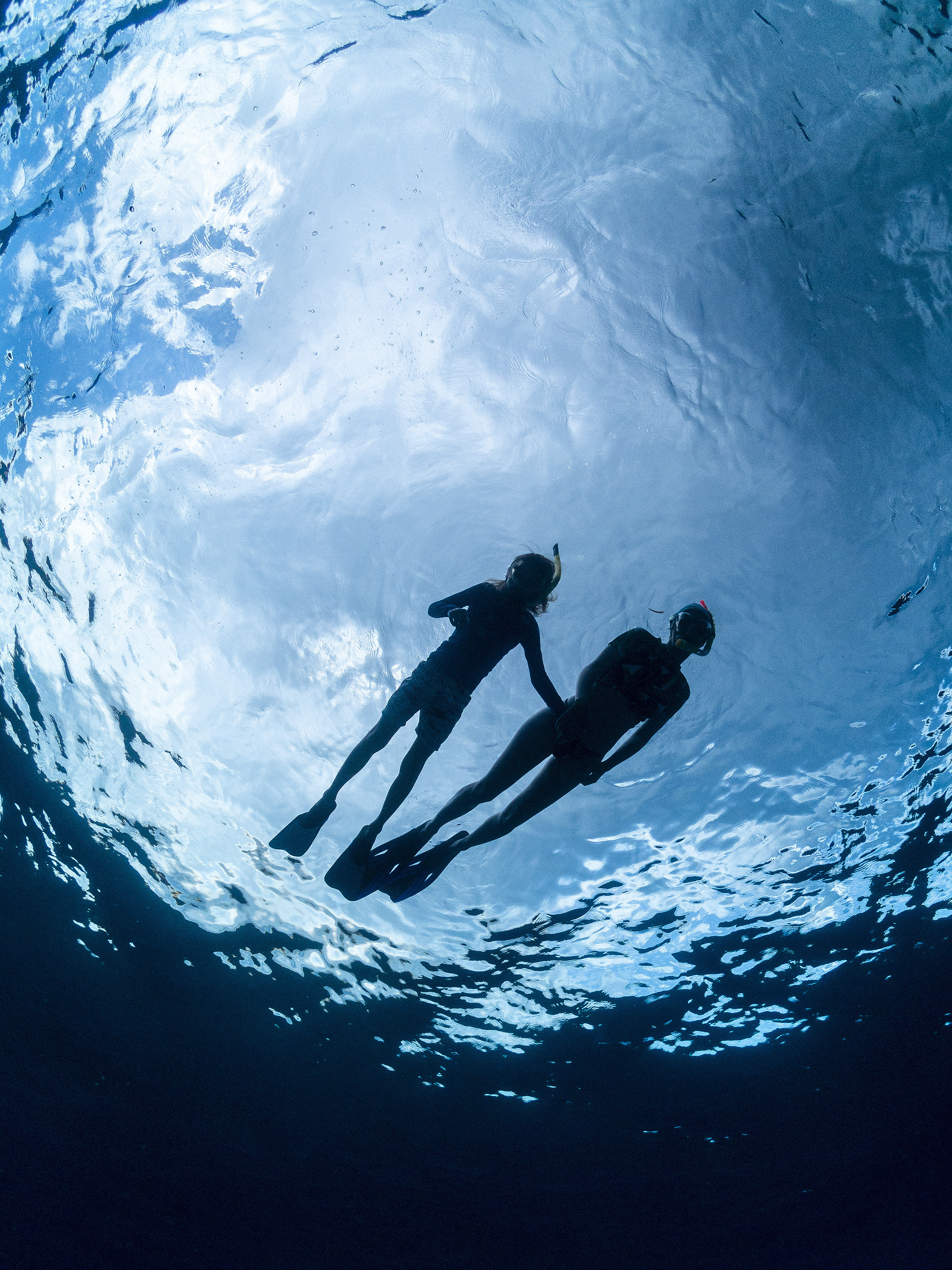 Under water. Your photographer on land and under water— Alexey Zaytsev