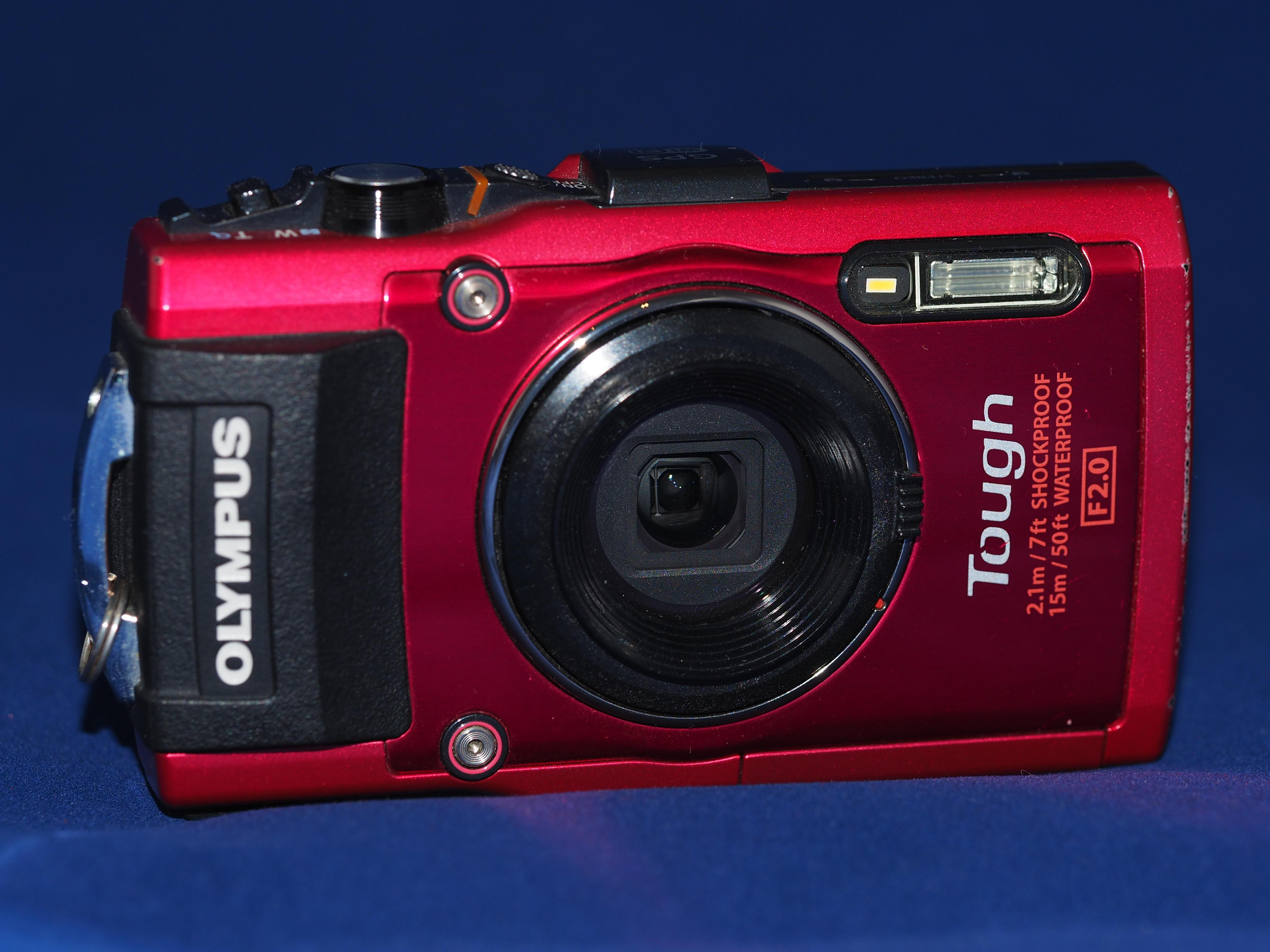 Products. Your photographer on land and under water— Alexey Zaytsev