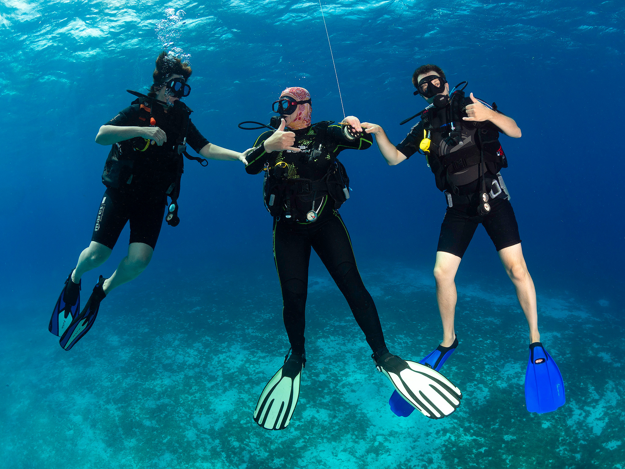 Under water. Your photographer on land and under water— Alexey Zaytsev