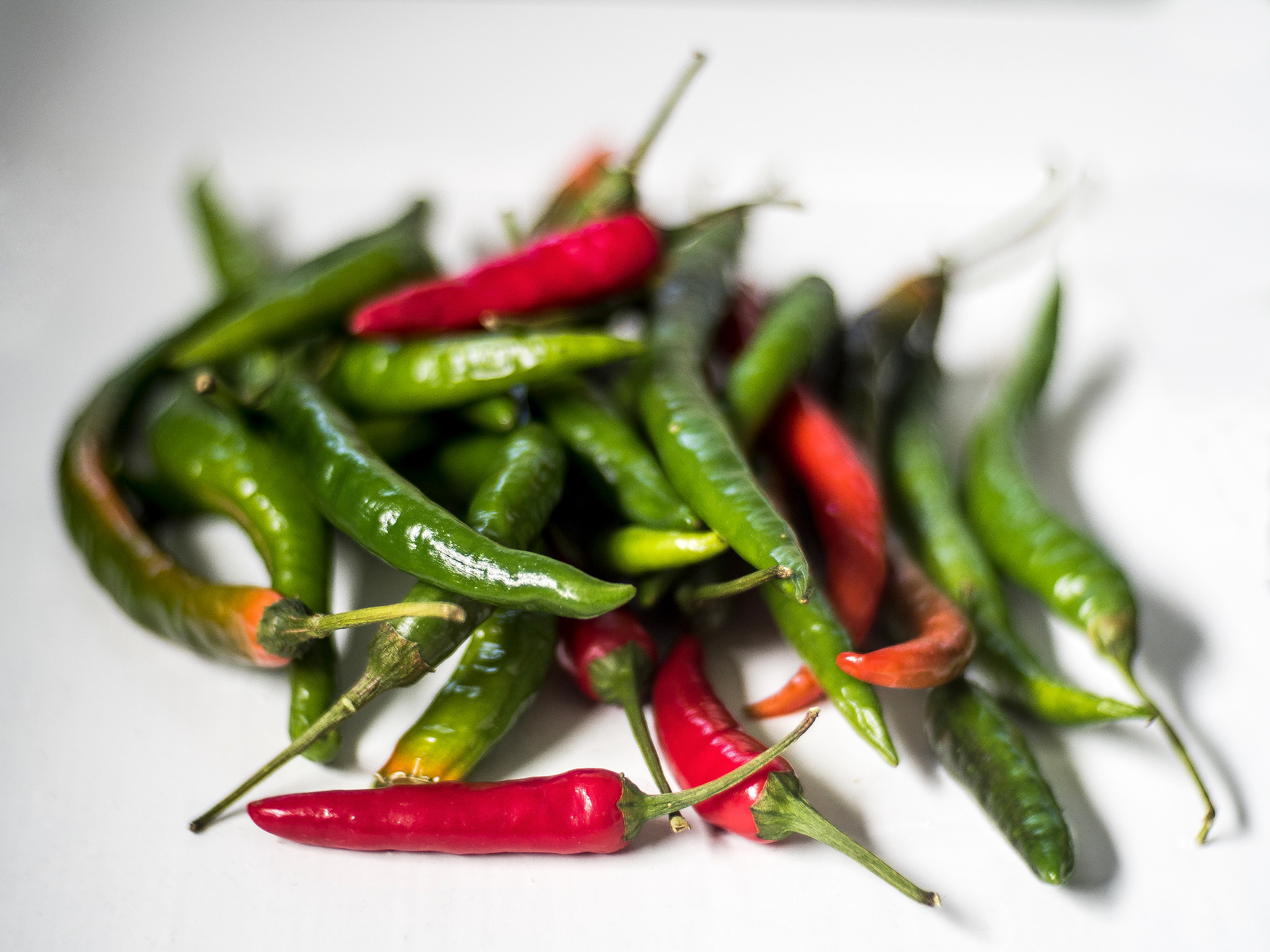 Products. Your photographer on land and under water— Alexey Zaytsev