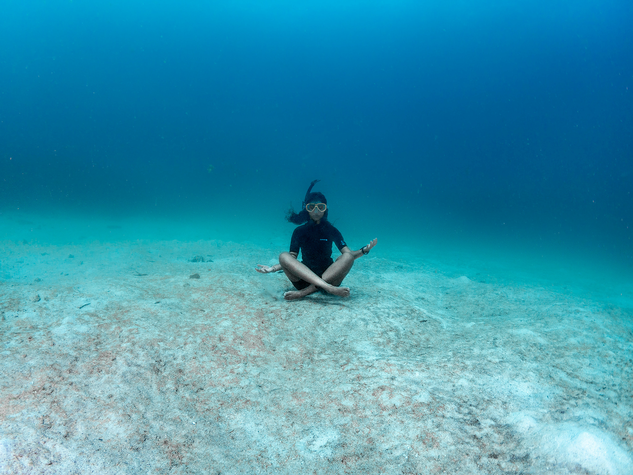 Under water. Your photographer on land and under water— Alexey Zaytsev