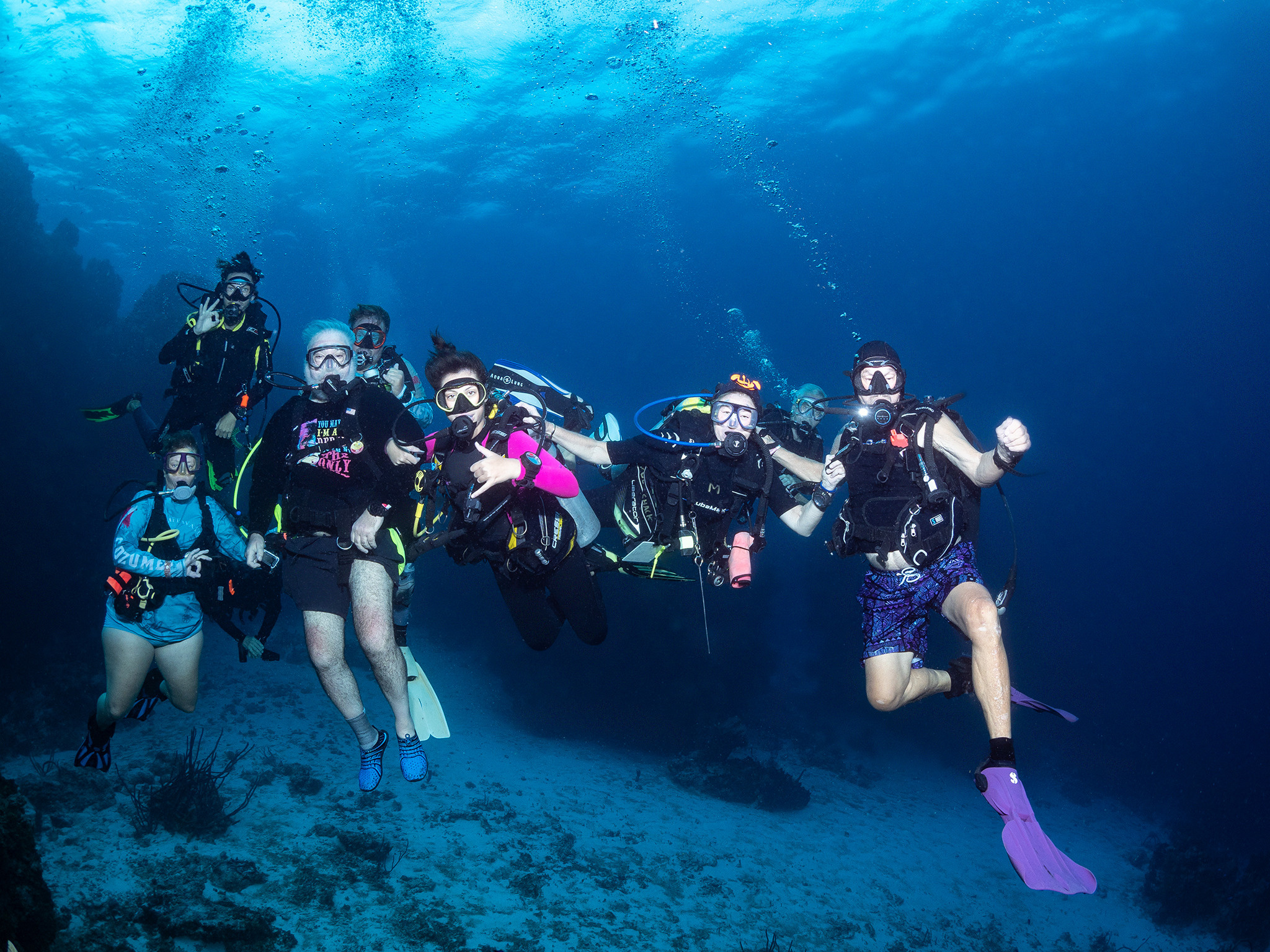 Under water. Your photographer on land and under water— Alexey Zaytsev