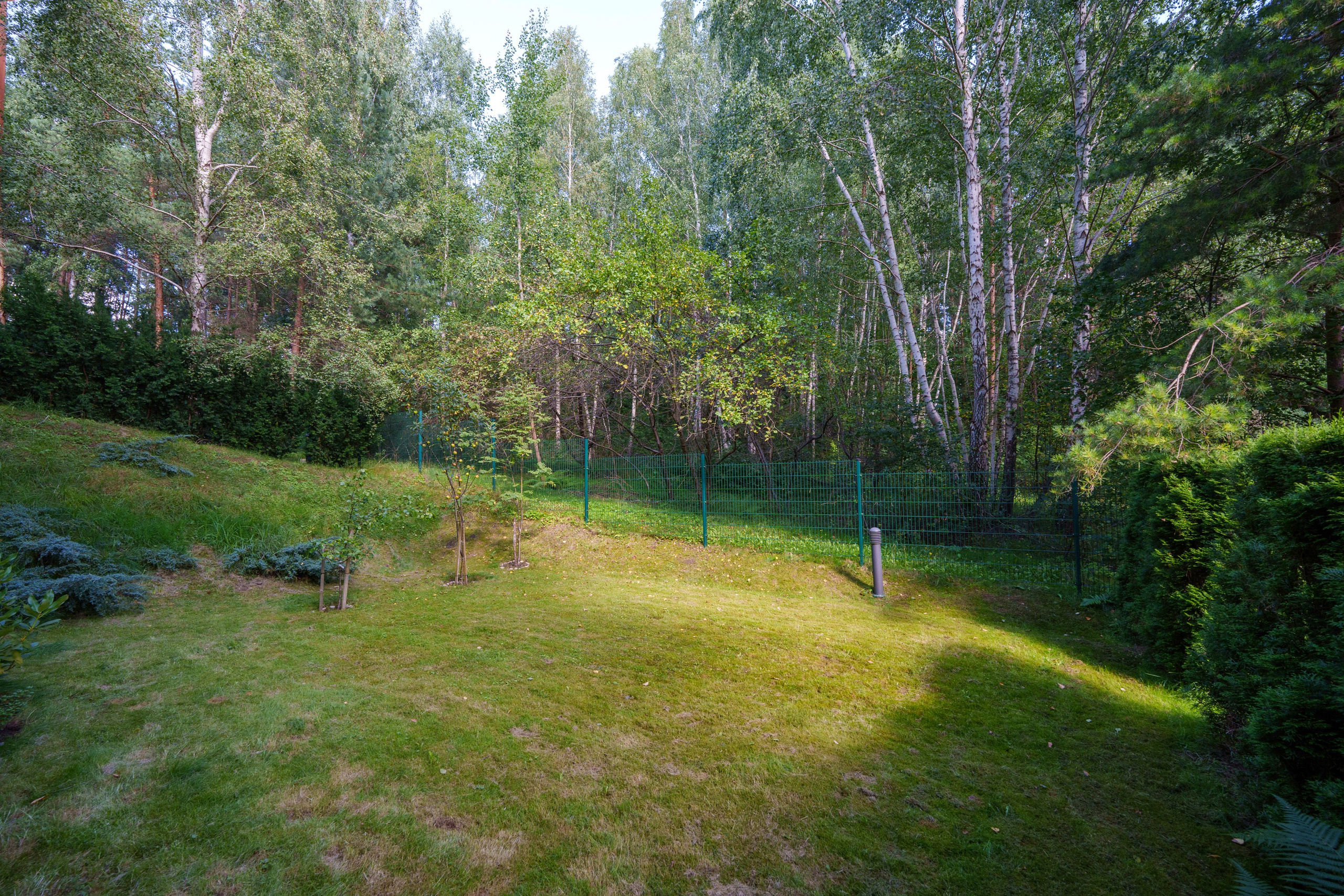 Mokslininkų g. 7. Elina Sapiega fotografė Vilniuje