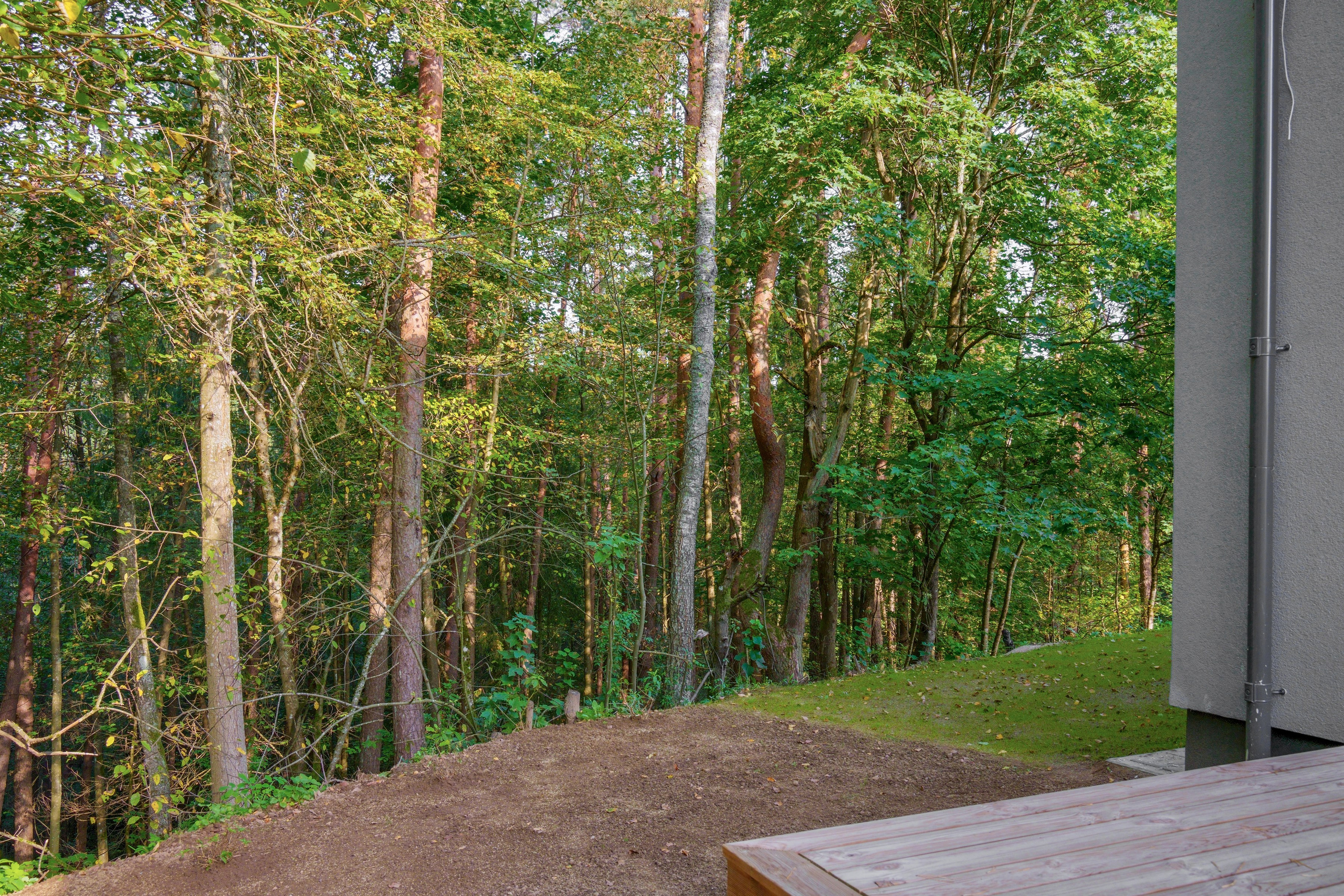 Poperiaus g. 61. Elina Sapiega fotografė Vilniuje