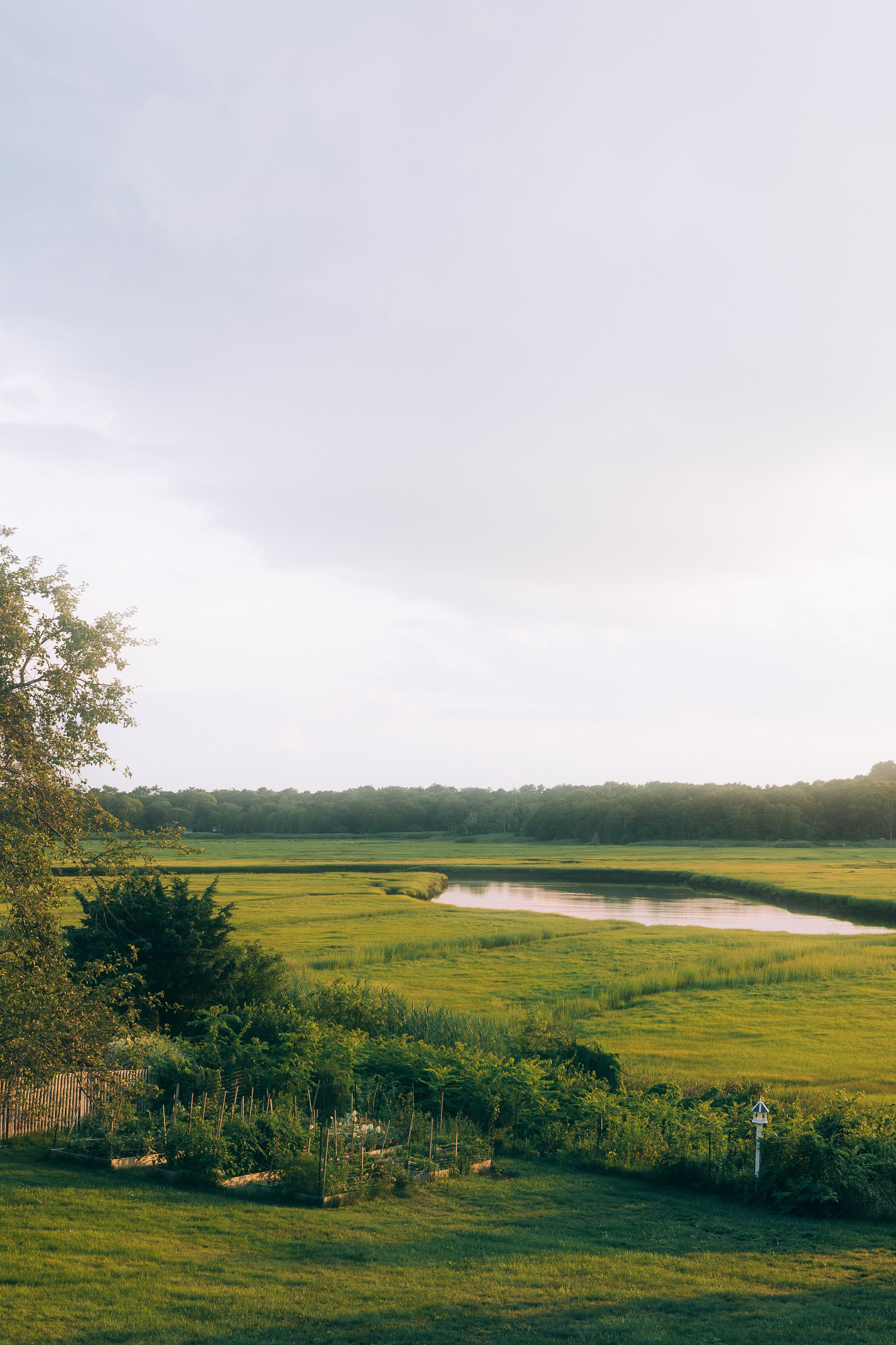 Sean’s Birthday. Sara Eulalia | Virginia Photographer