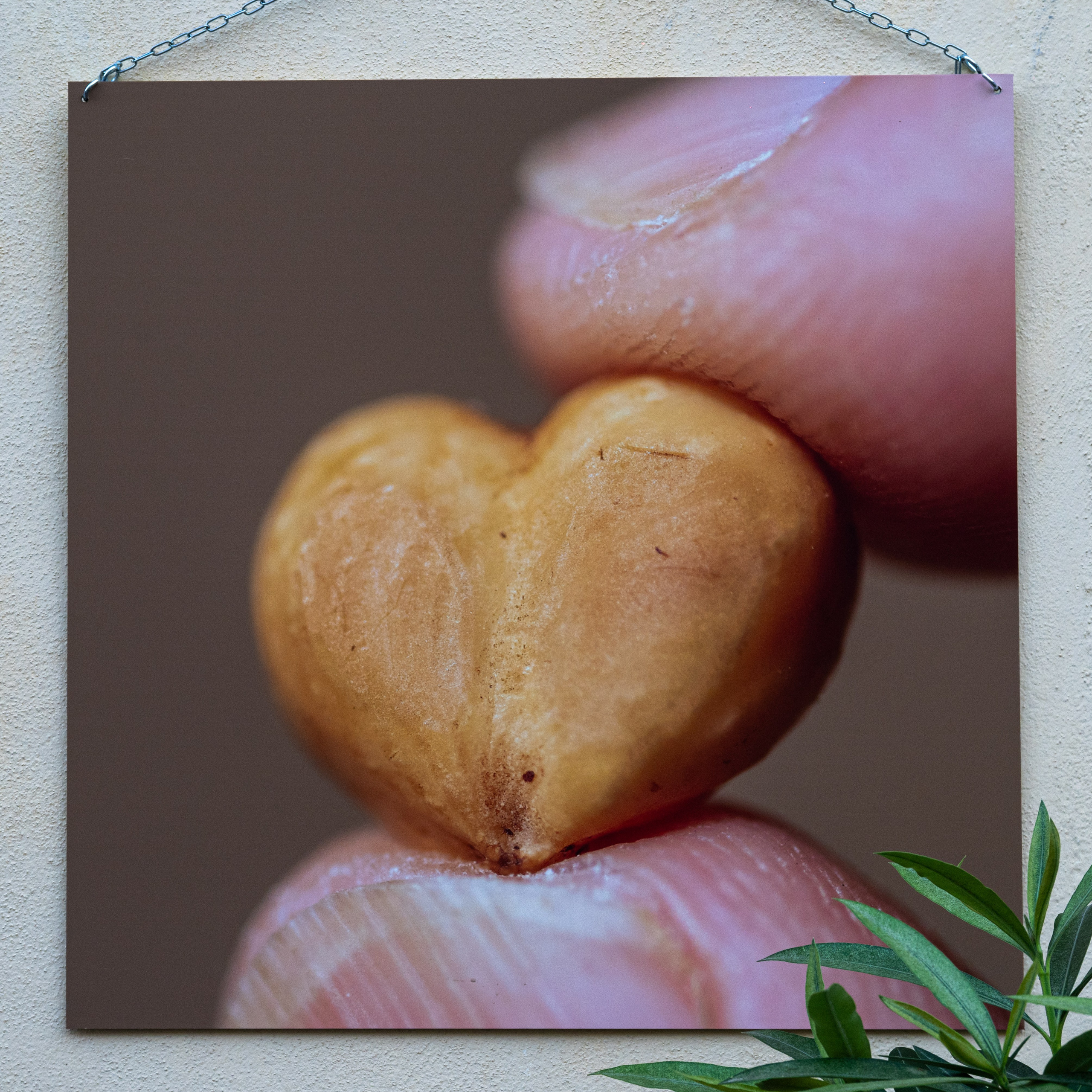 Il Tempo della Nocciola di Enzo Massa. “Gianmaria Coscia fotografo per passione”