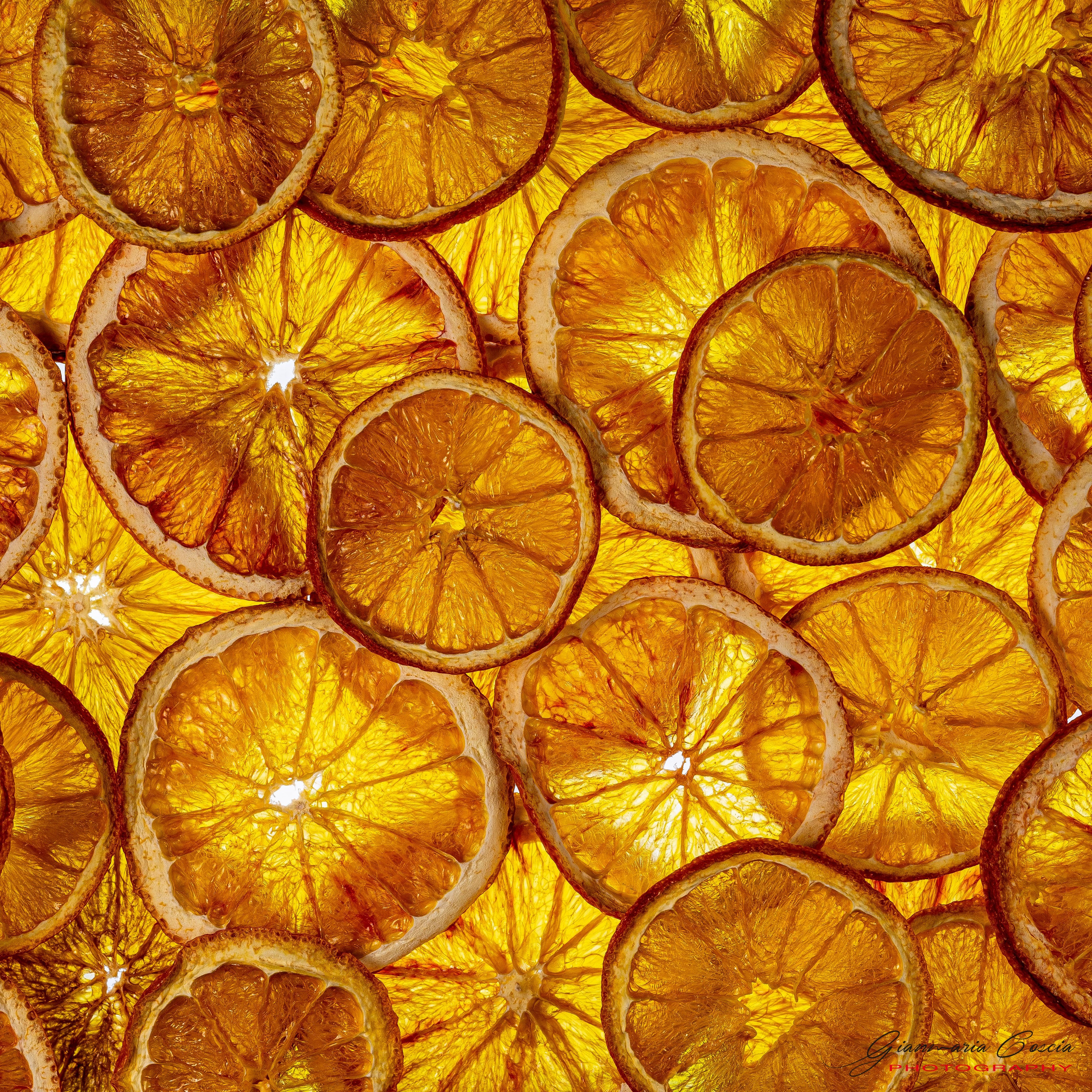 “Gianmaria Coscia fotografo per passione”