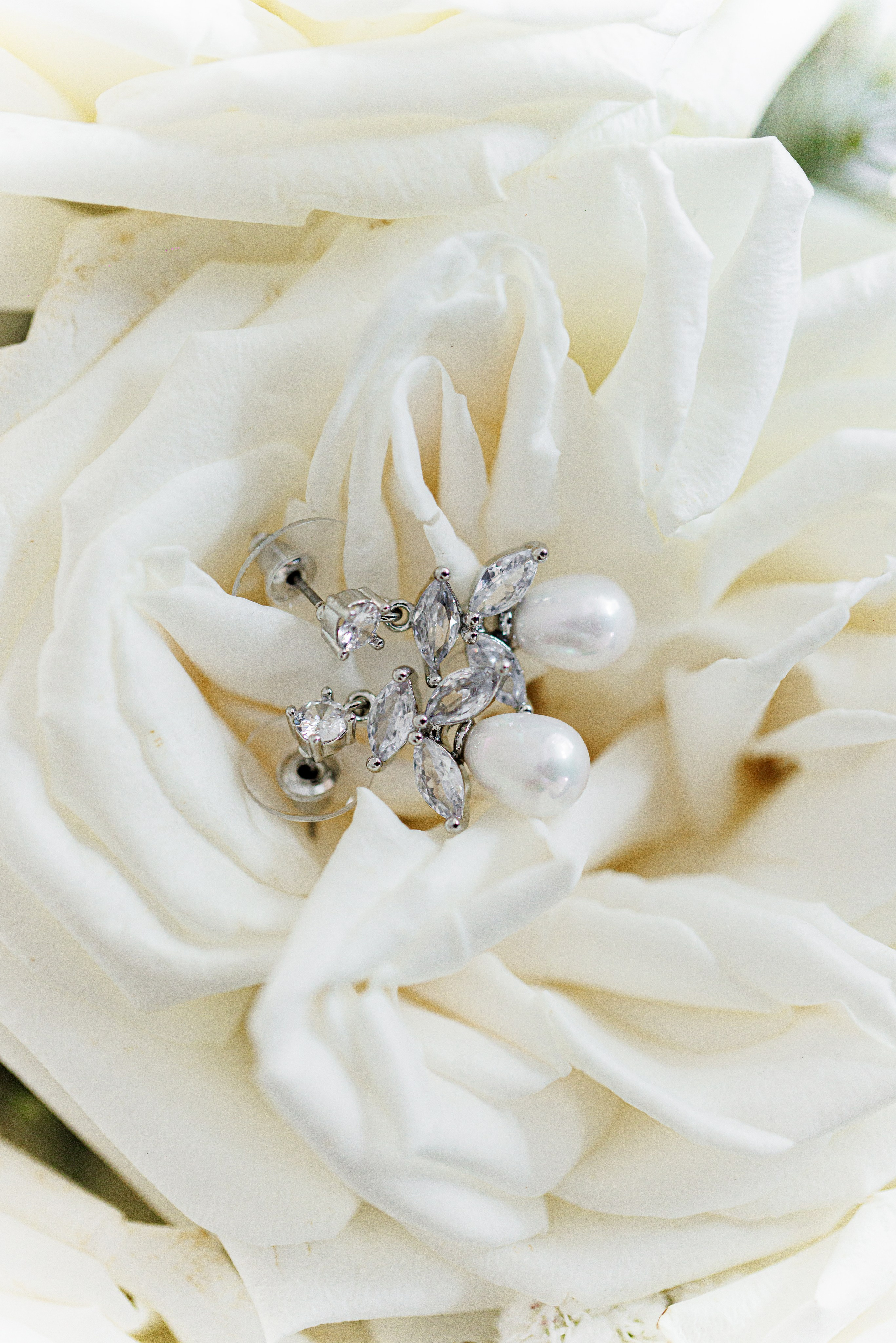 Ashley & Leshye, Falls Creek Farm Equestrian, NY. Wedding Photo & Video