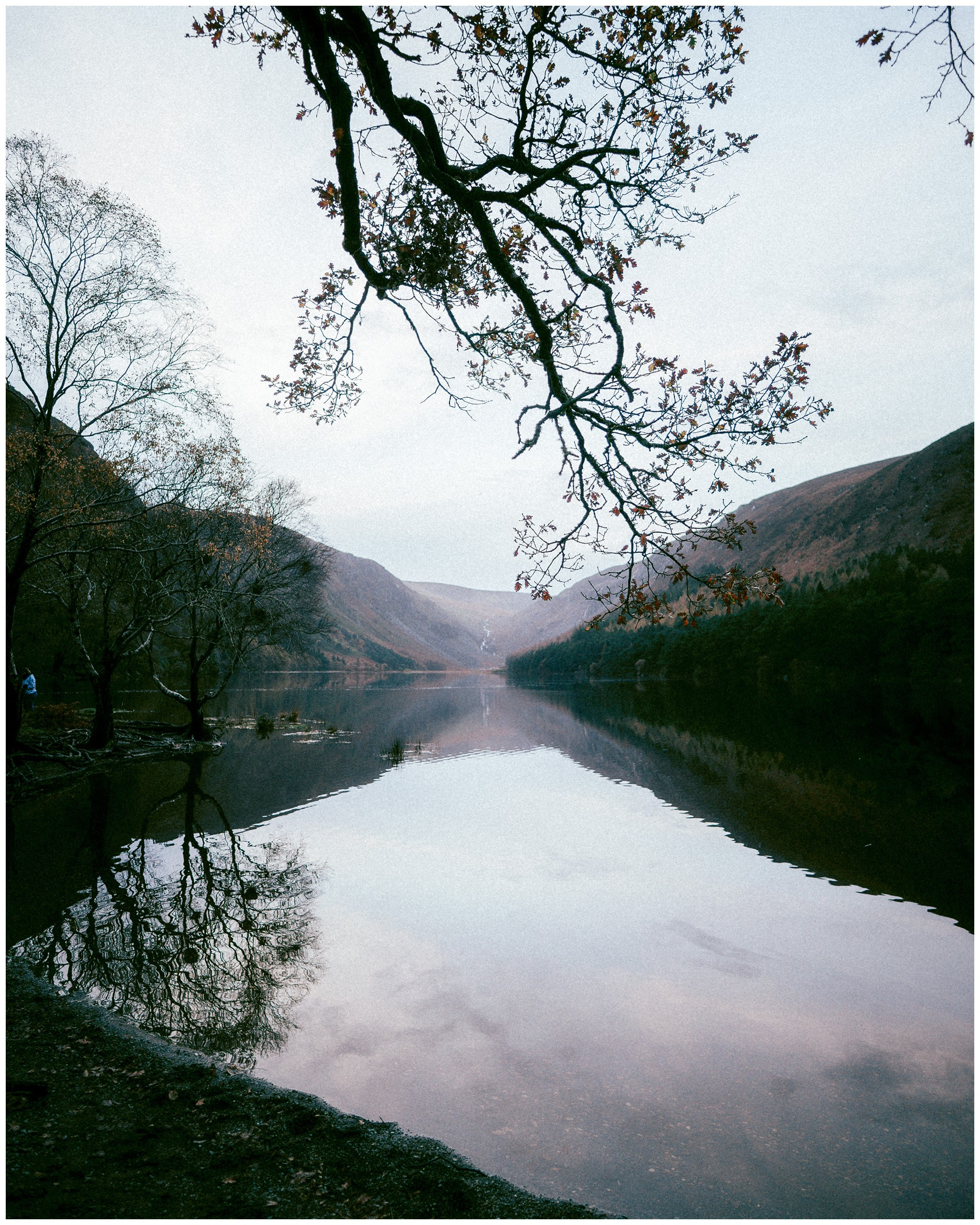 IRELAND. Inna Mendelson — Photographer