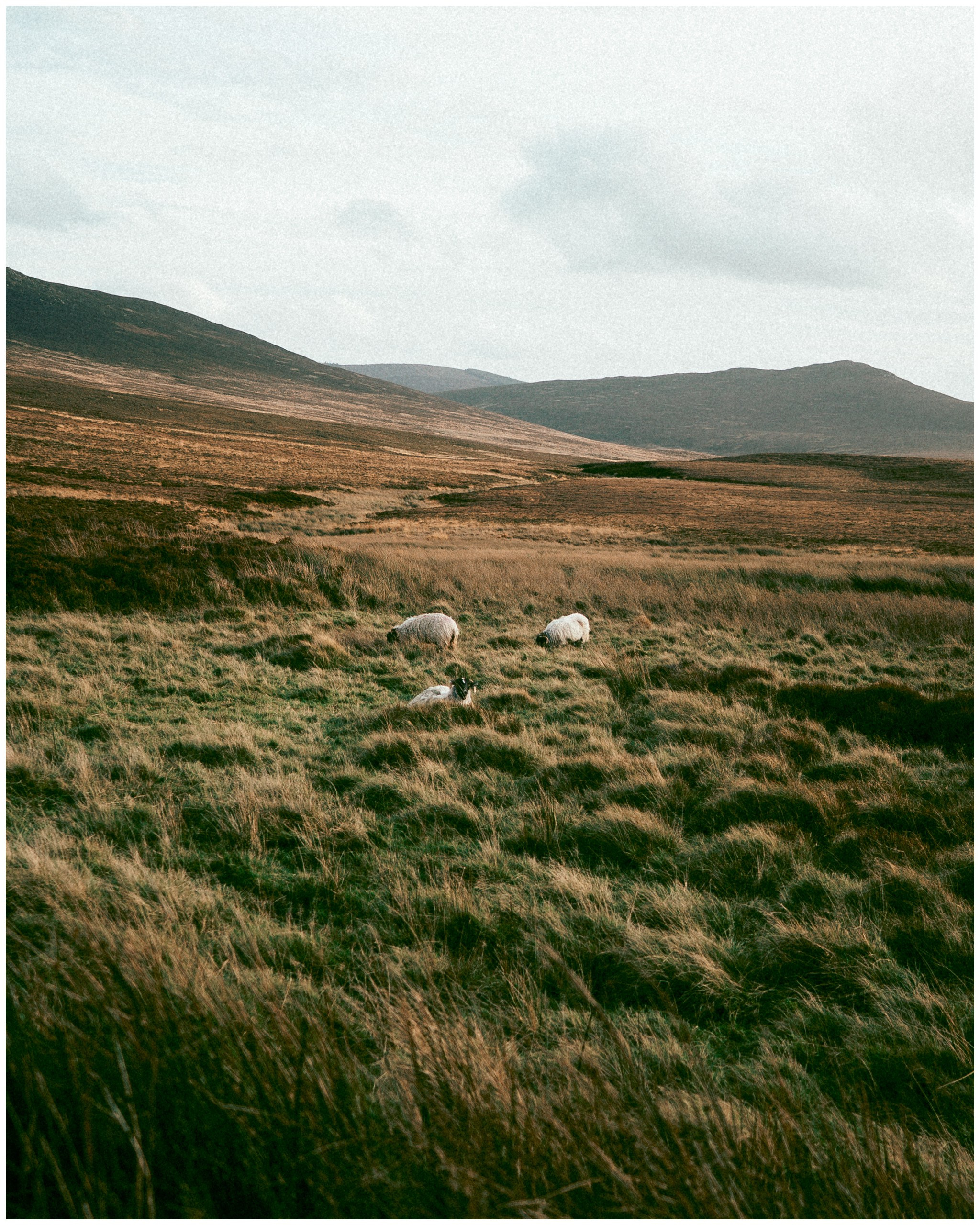 IRELAND. Inna Mendelson — Photographer