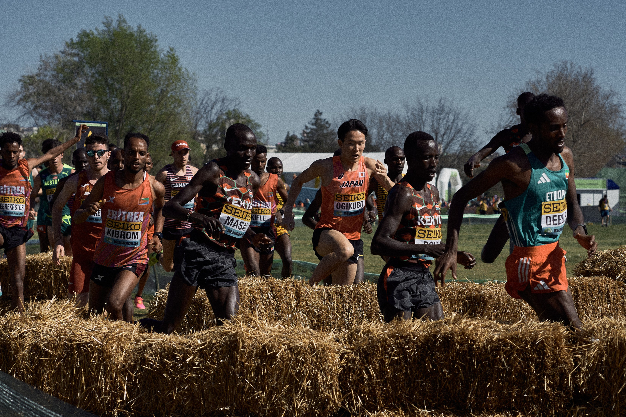 Cross Country Championship 2024 #running. Photographer Evgeniya Dovgalyuk