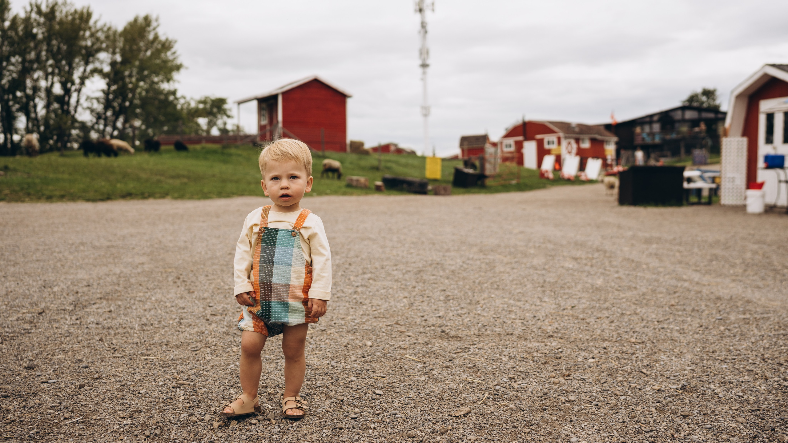 Lev. Calgary Wedding & Lifestyle Photographer — Yevhen Polishchuk