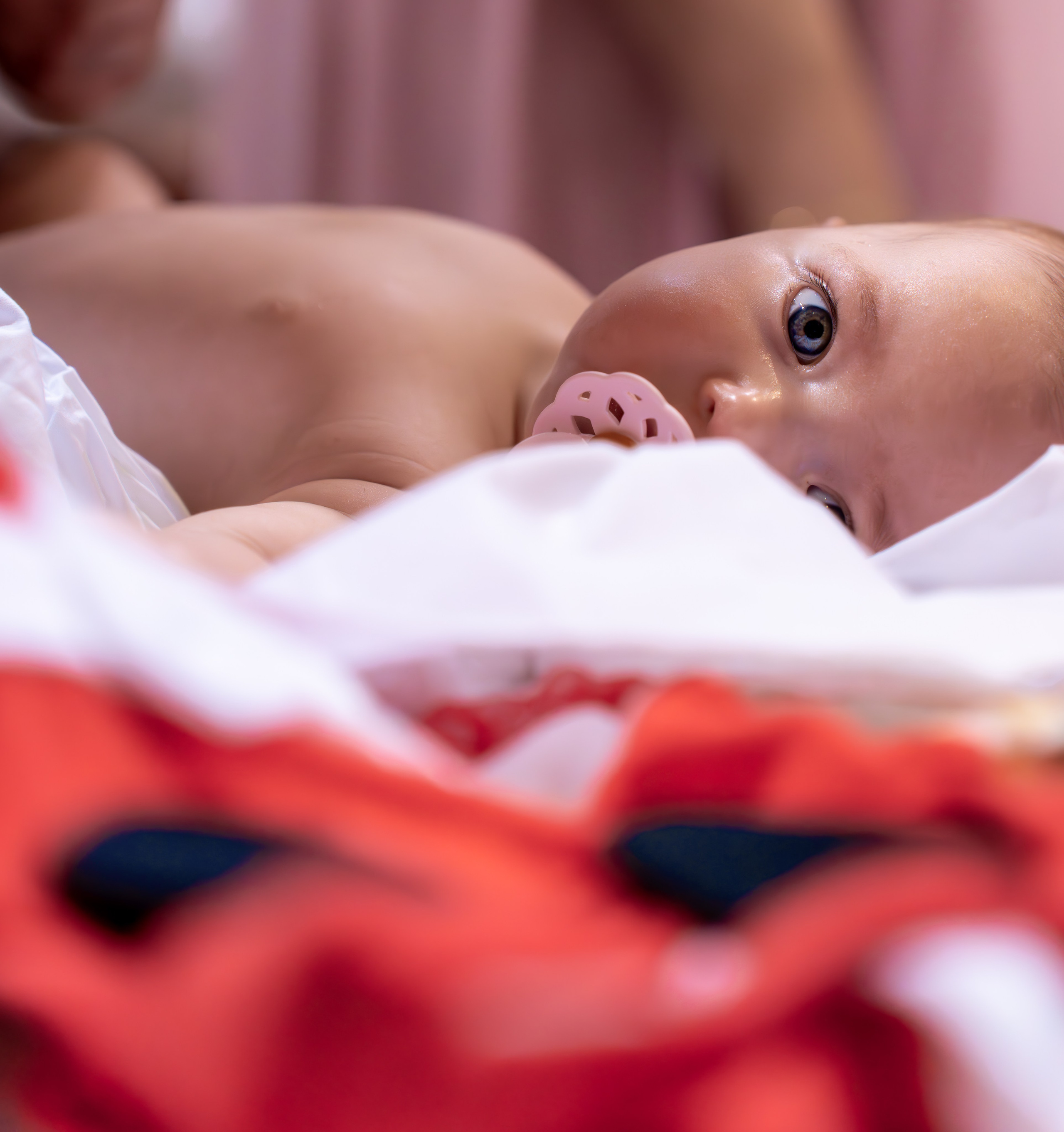 ✨ Portofoliu Botez ✨. Murgeanulucian