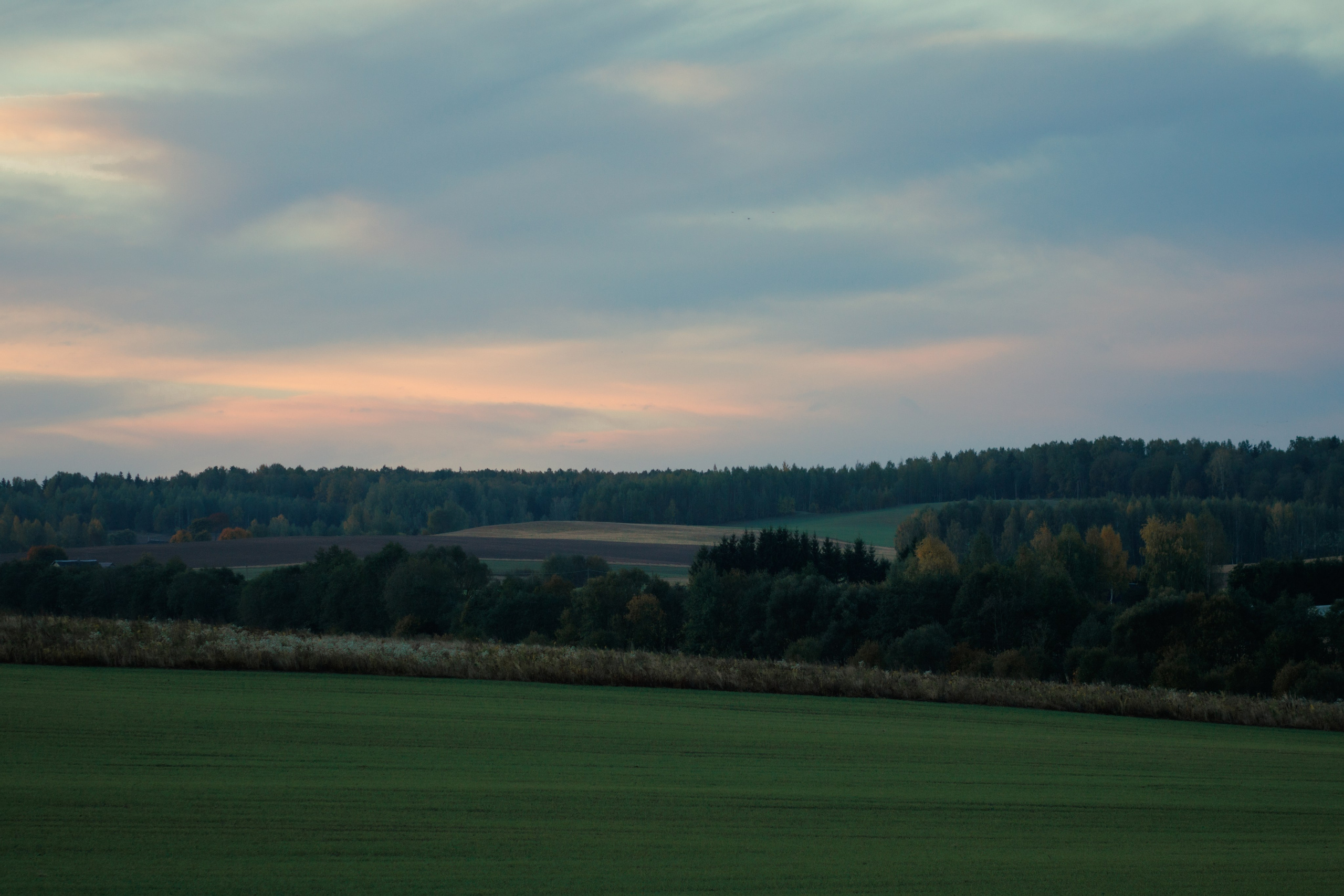 Landscape. Portrait and Street photographer in Vilnius Edgar Shaipunas
