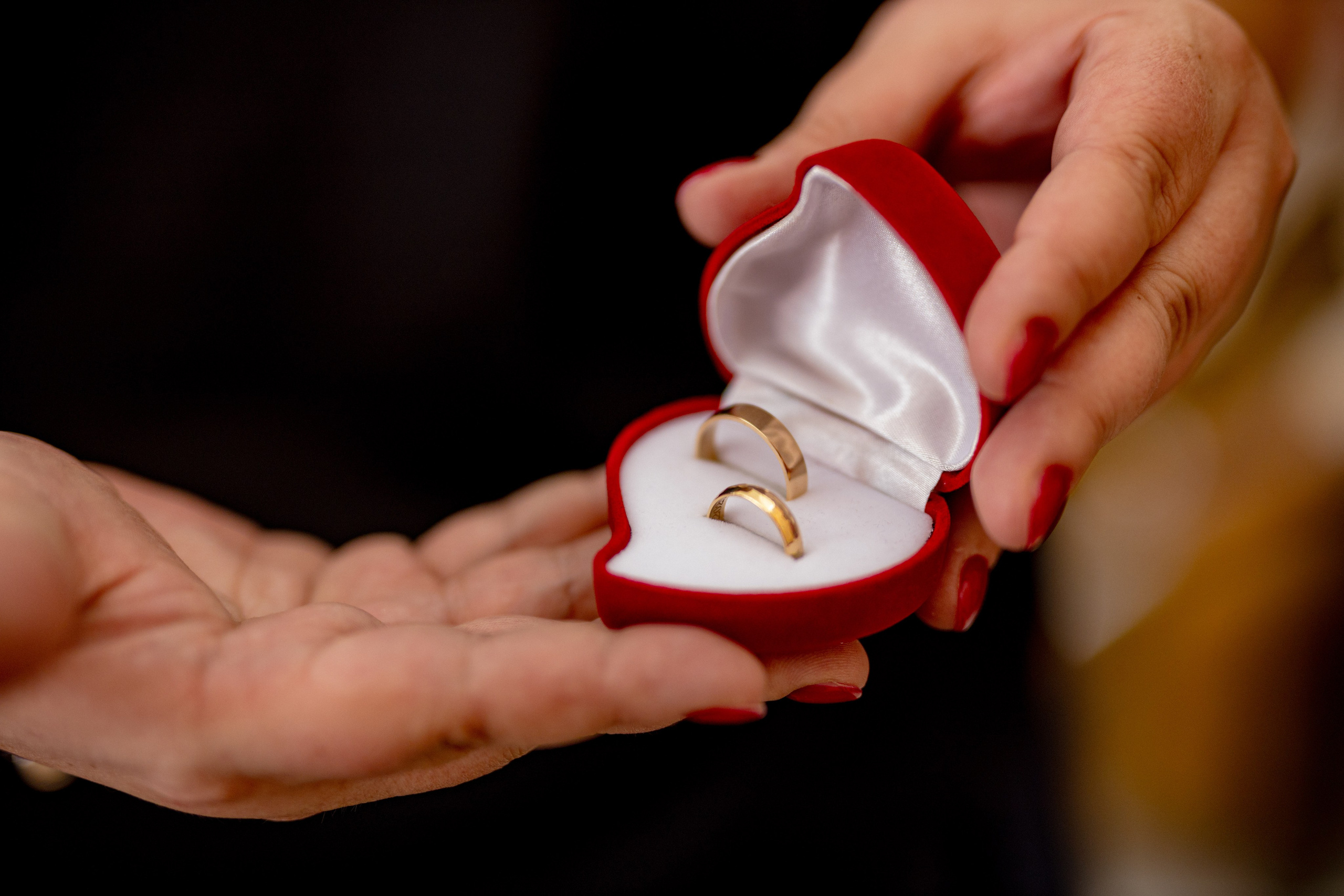 Sofija & Vladimir. Marko Tucić Photography | Fotograf Zrenjanin