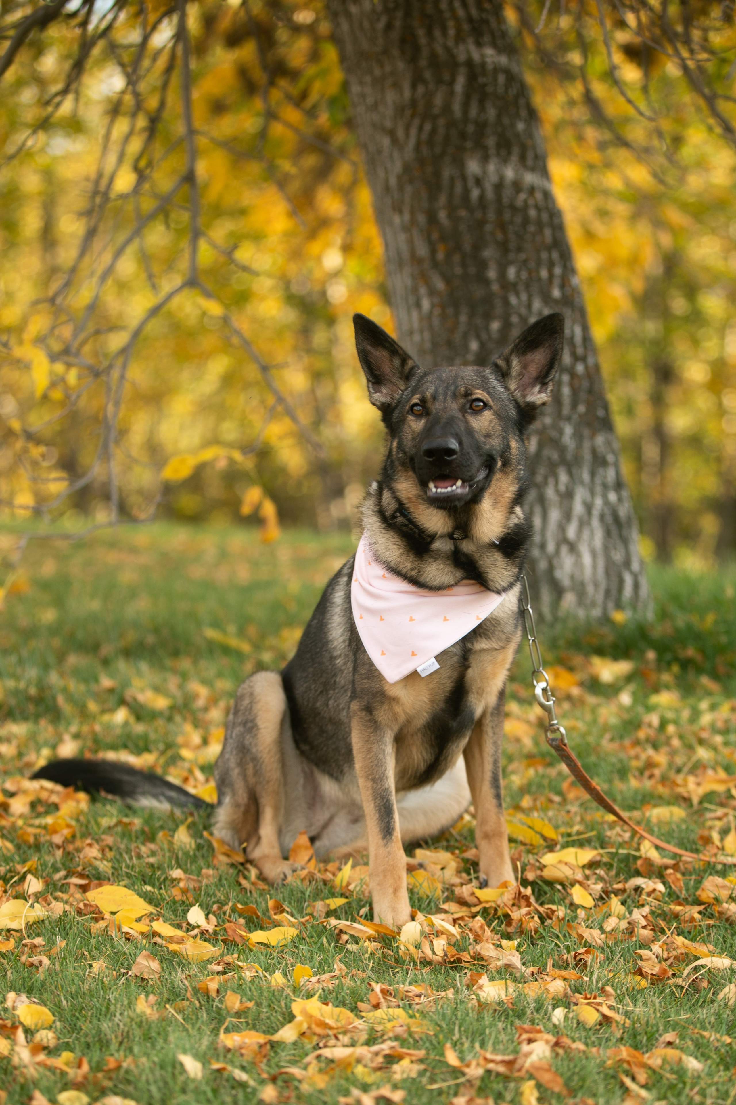 Family Photos — Romero Family. Ching Li Photography