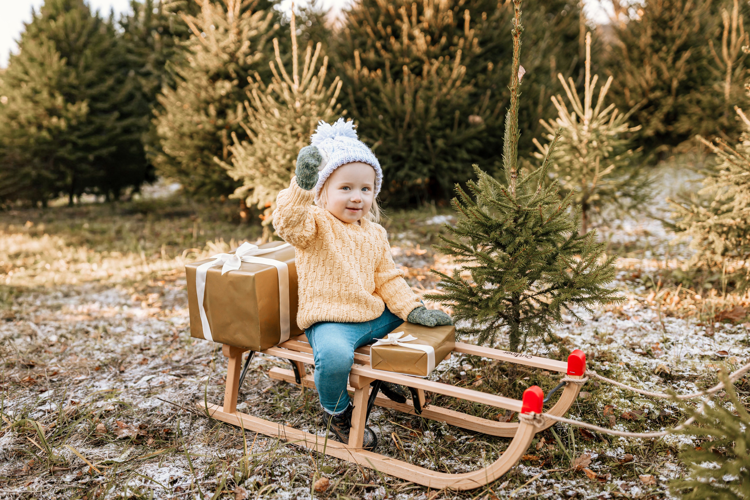 Ziemassvētki eglīšu audzētavā. Home