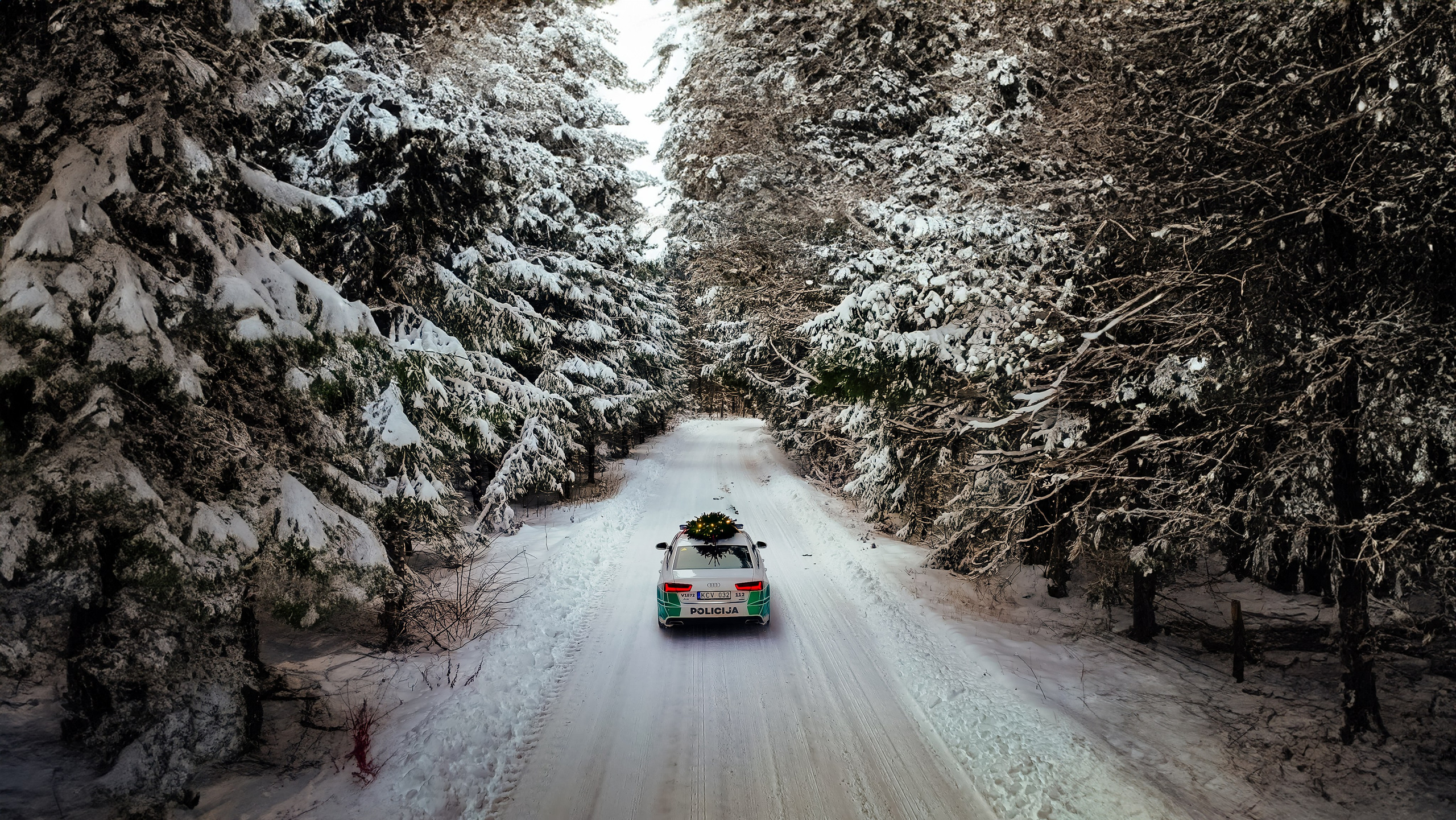 Police Cars. OnePIXEL