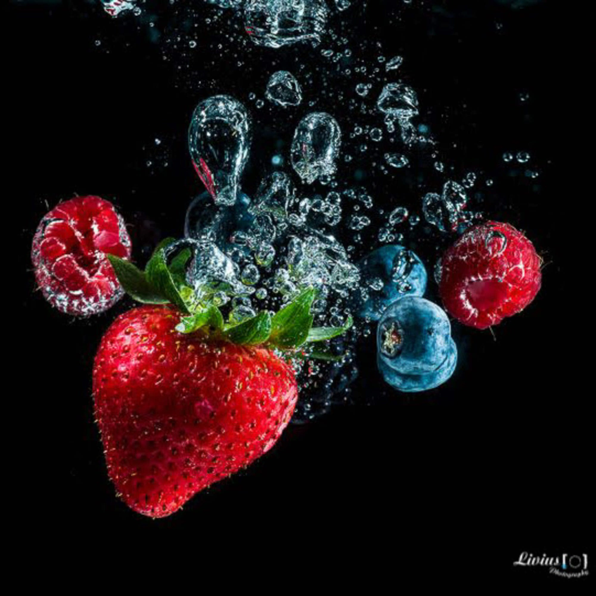 Hobby Bilder. FOTO KREATIV