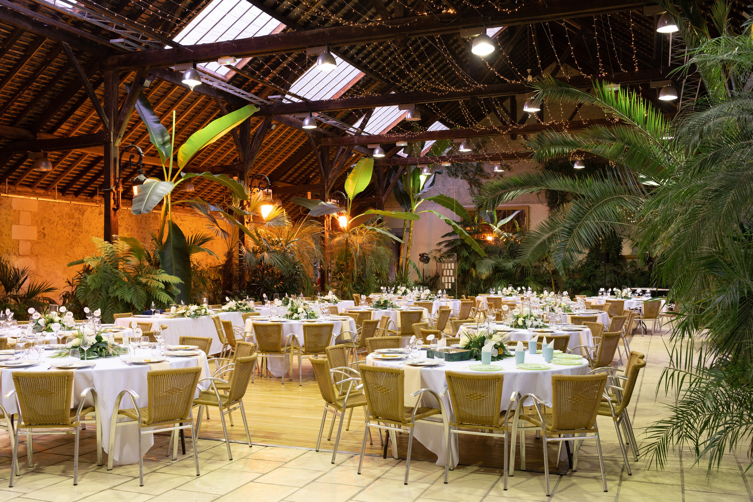 Fanny & Hermann. Dp films - Agence de création de contenu photo et vidéo