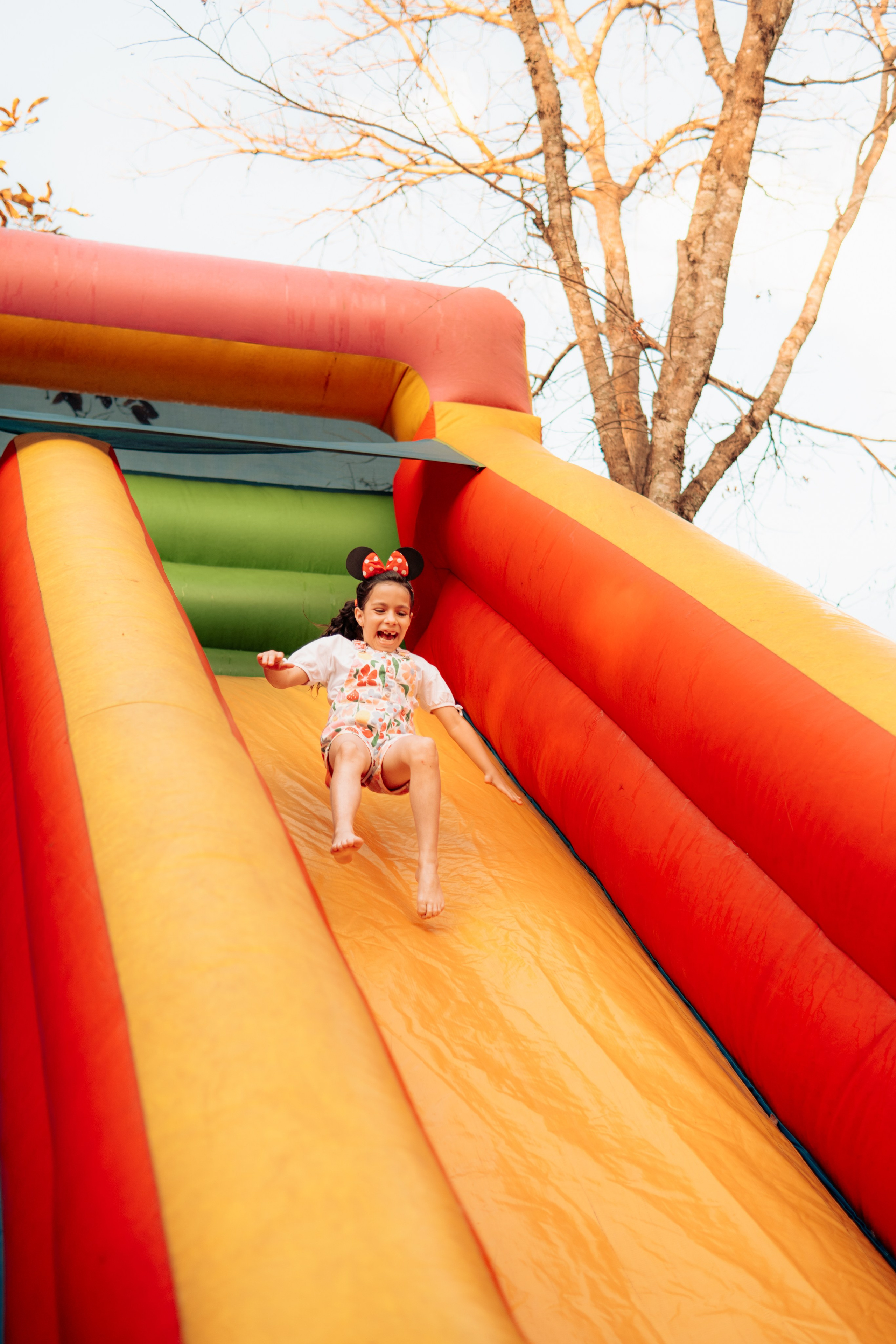 Aniversário. Reference Visuals