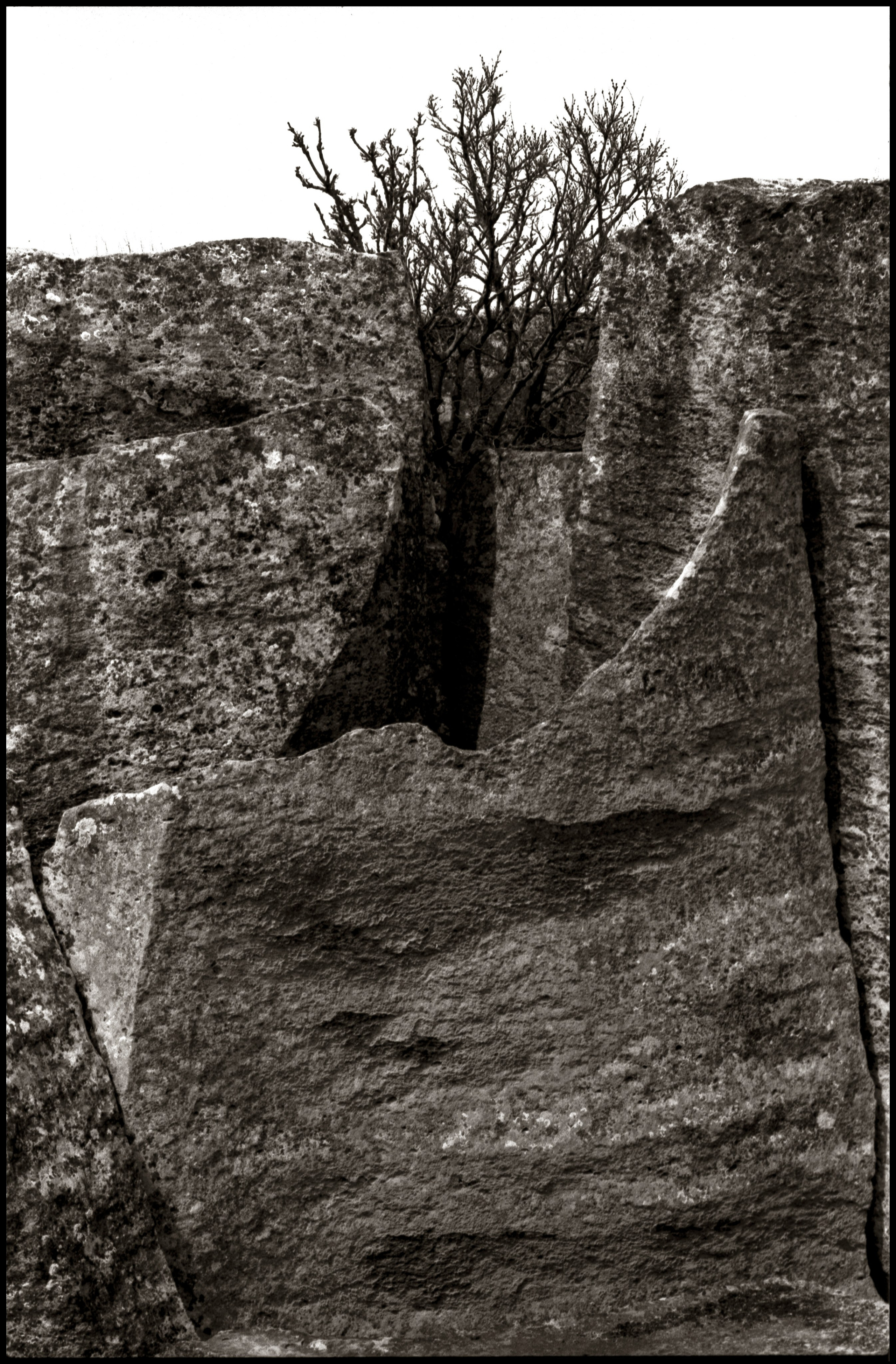 NATURE. Www.sananaleskerov.com