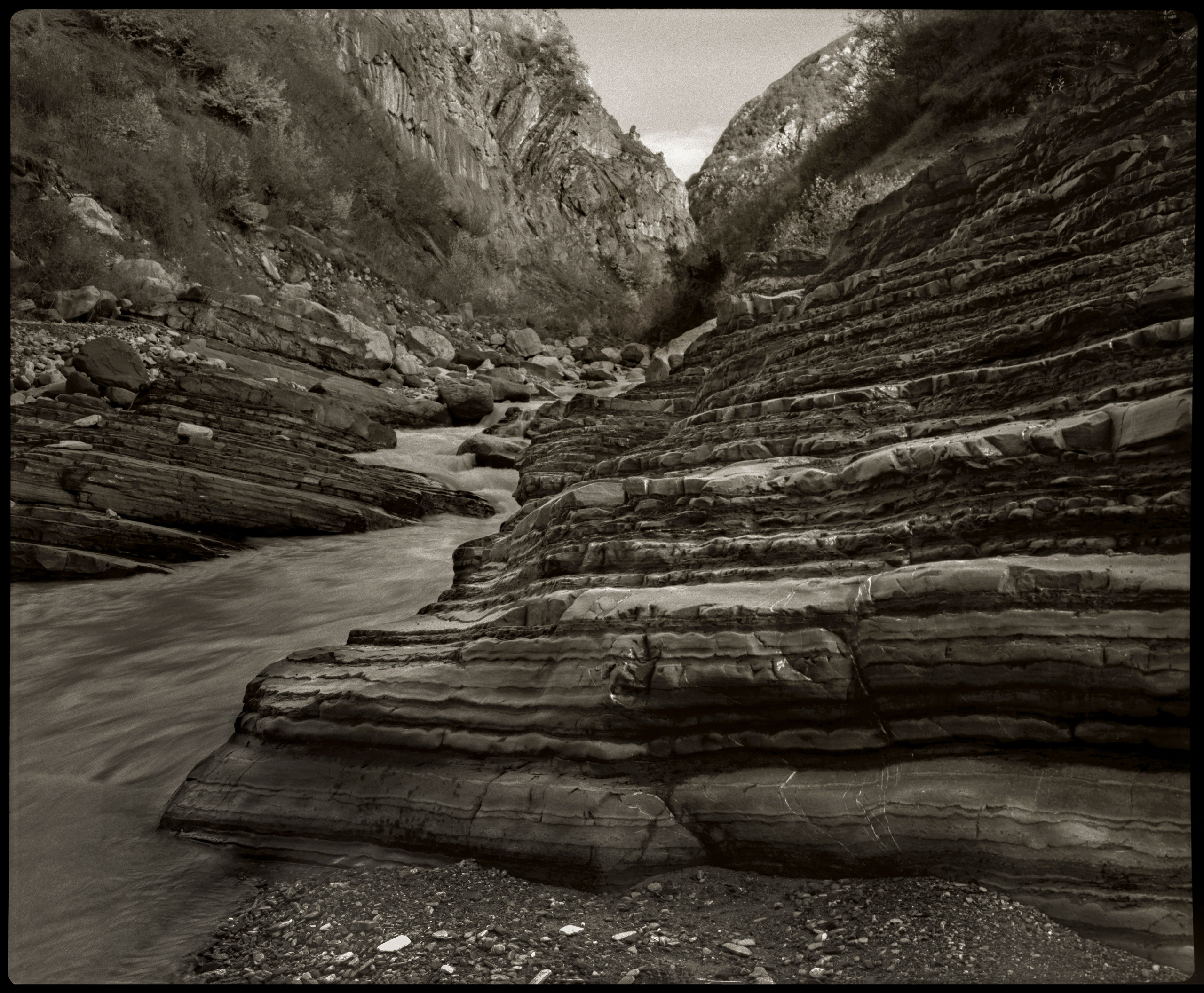 NATURE. Www.sananaleskerov.com