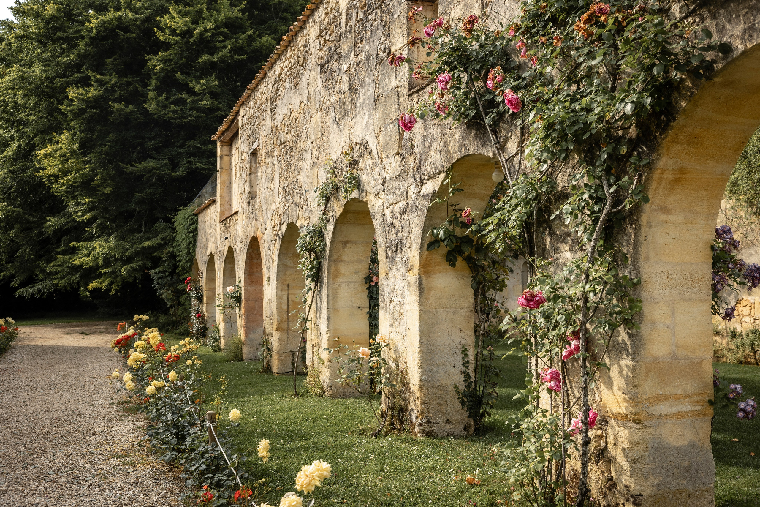 Château Sentout, Bordeaux. Eugénie Smirnova — Photographe à Toulouse et dans le Sud-Ouest
