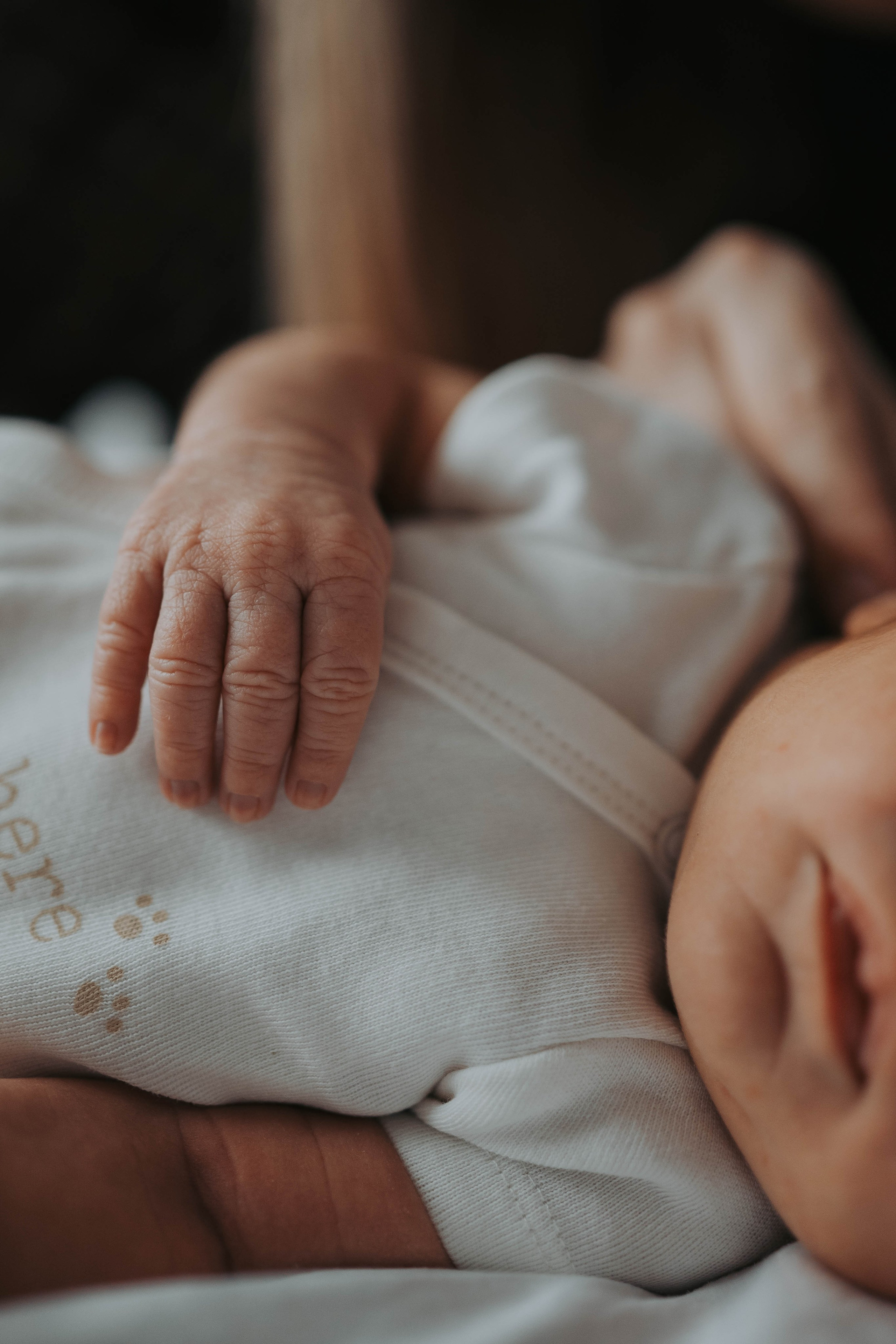 Vuk - fotografisanje bebe kod kuće. Dečiji i porodični fotograf