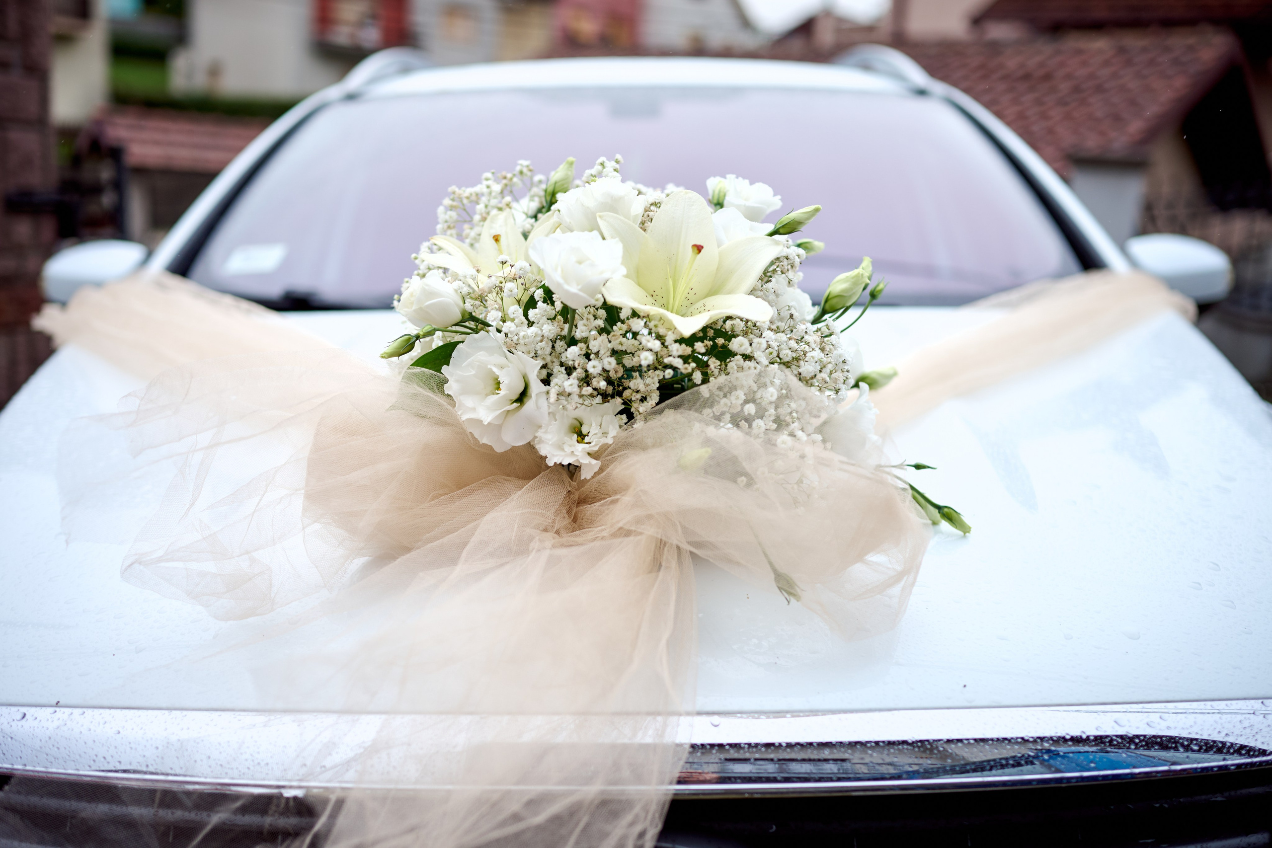 Ivana i Jefta. Marko Superio | Wedding & Portrait Photographer