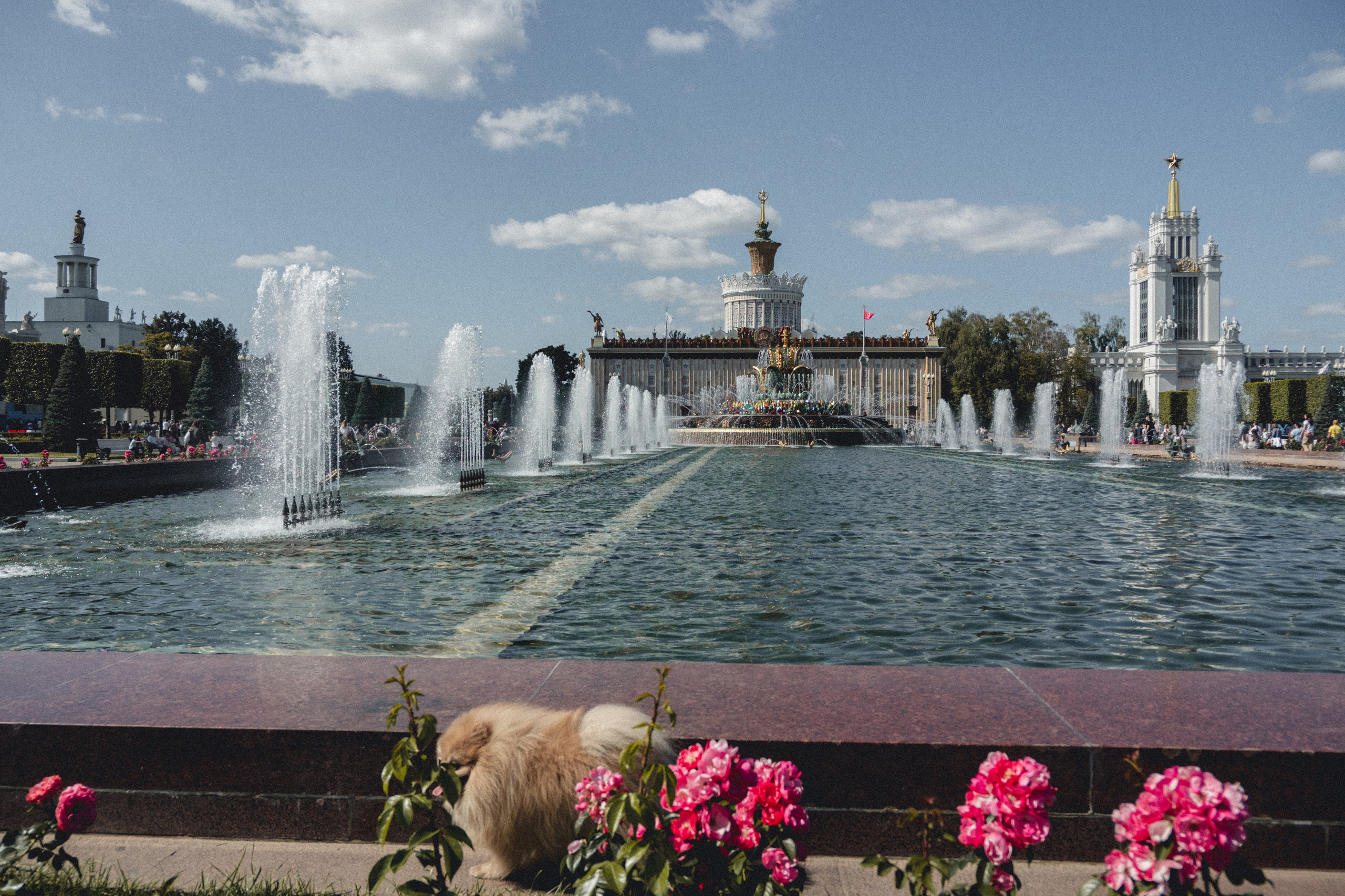 ВДНХ и Ботанический сад. Семейный и детский фотограф на Лазурном Берегу