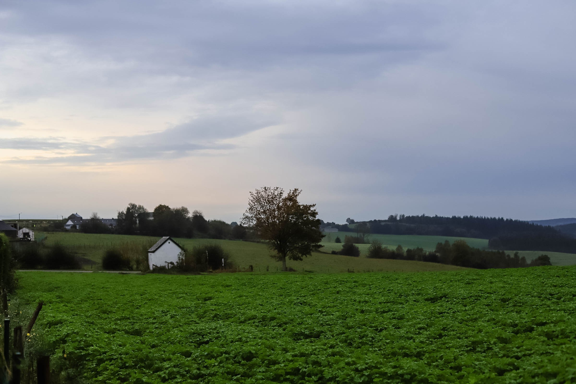 Neuf. Family and Portraits photographer Diana Andoni