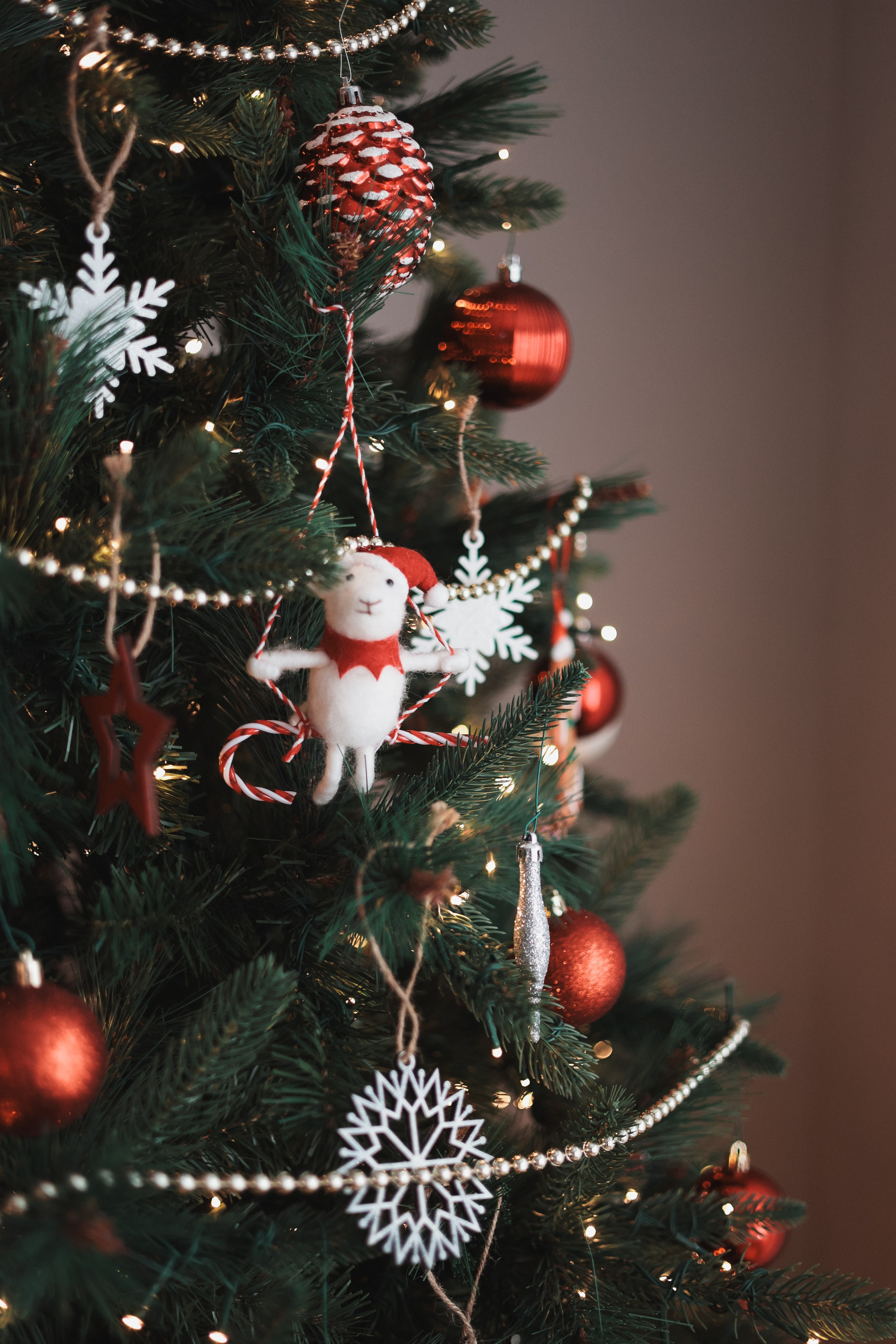 Christmas 2025. Eugenia Guryev Photography | Portrait & Family Photographer in Moncton, New Brunswick