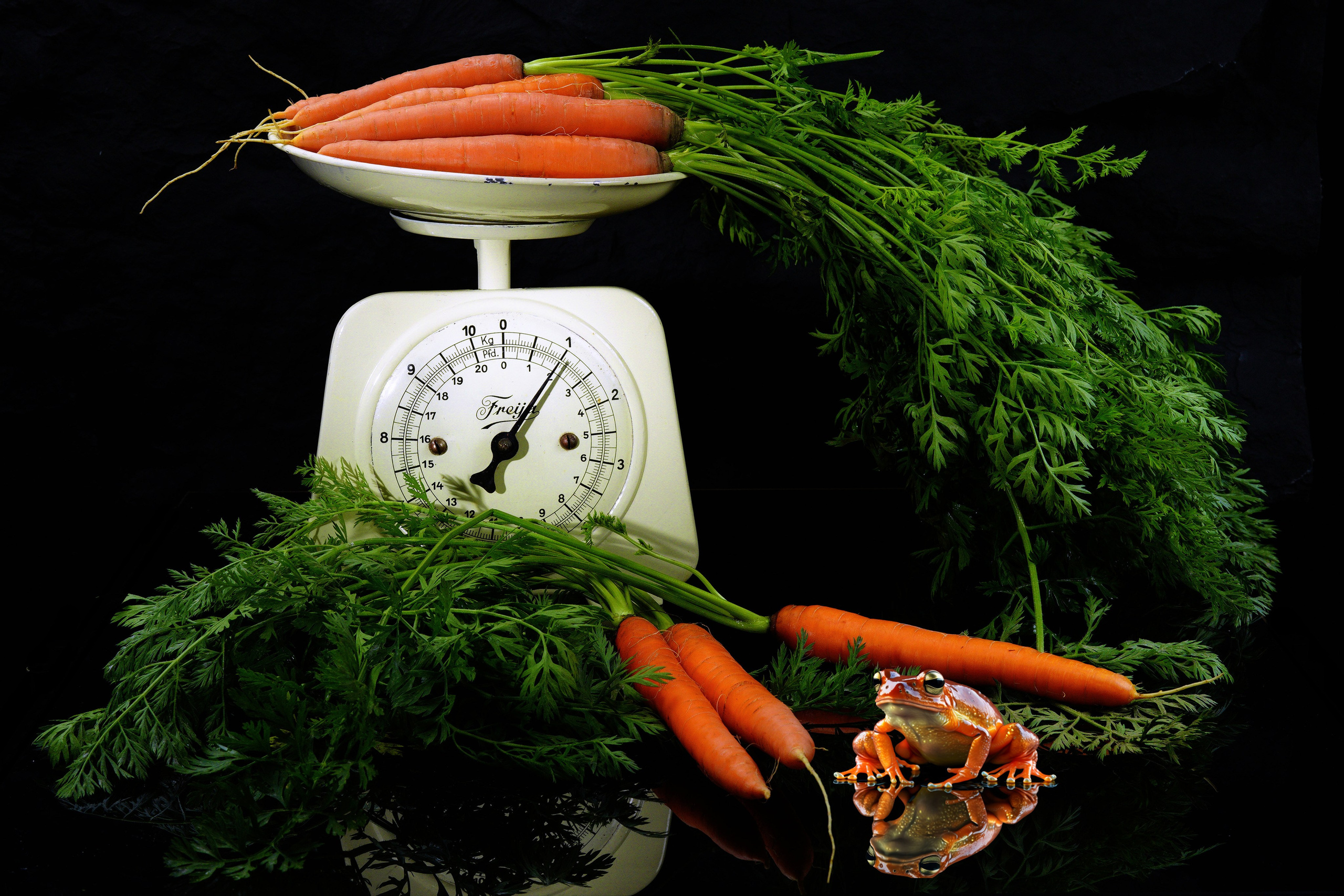 Orange color contest Оранжевый цвет. LUKIN IGOR Photography