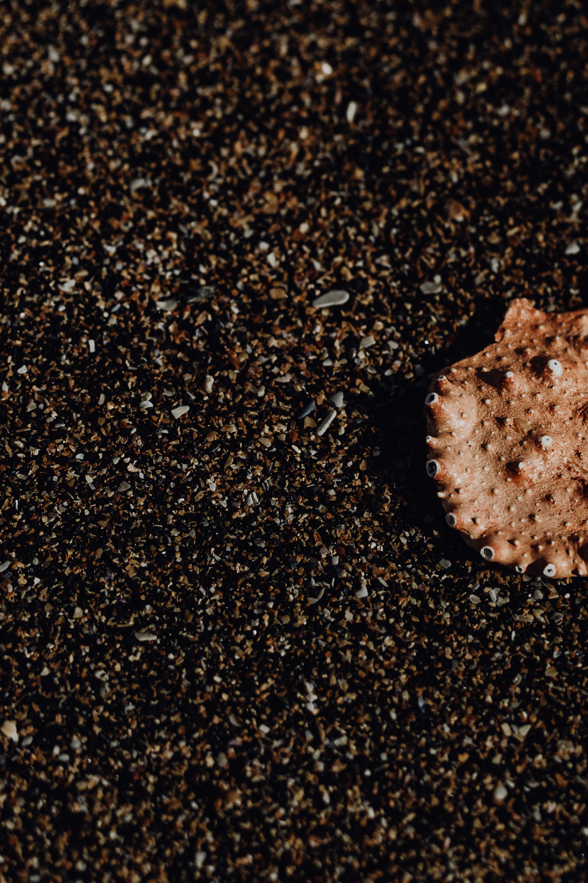 Forecast: Unpredictable. Heart In Lens Photography from Reykjavík, Iceland