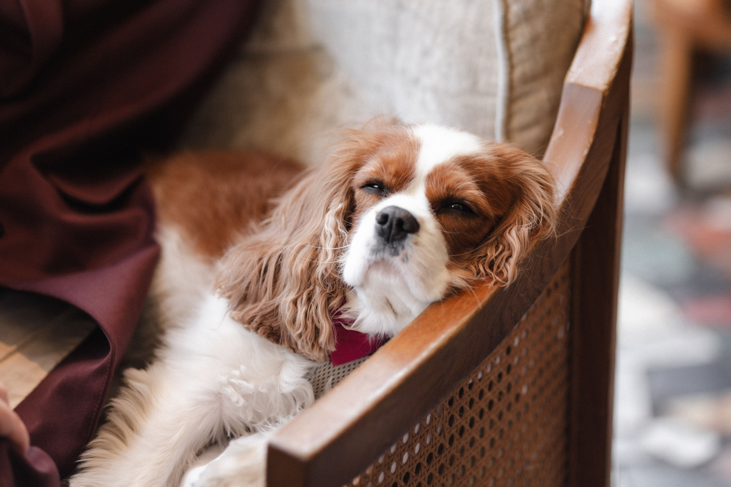 Paris, je t’aime. Https://shi-photo.com/