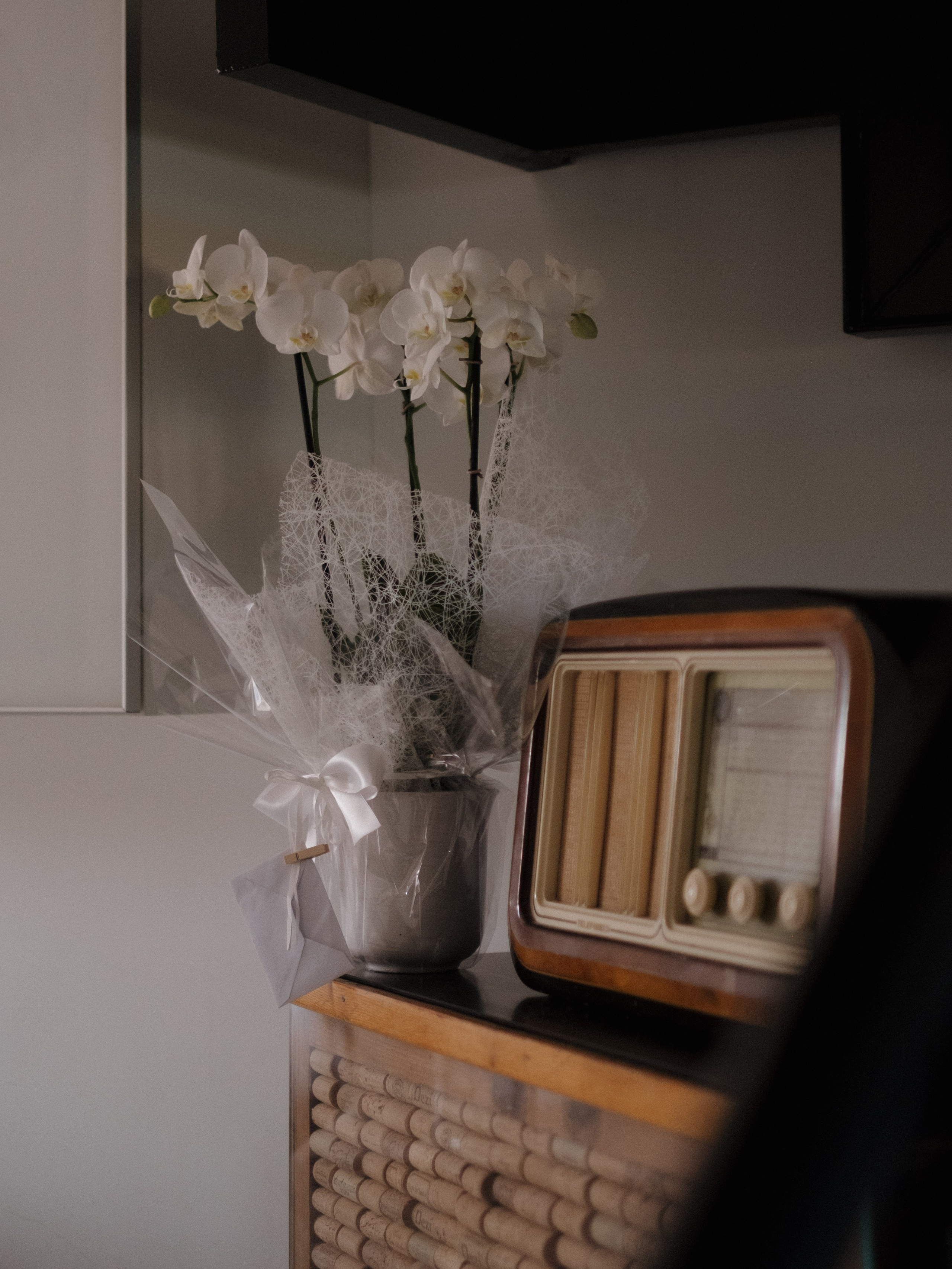 Ambra & Alberto. Weddings, sports and events photographer in Senigallia