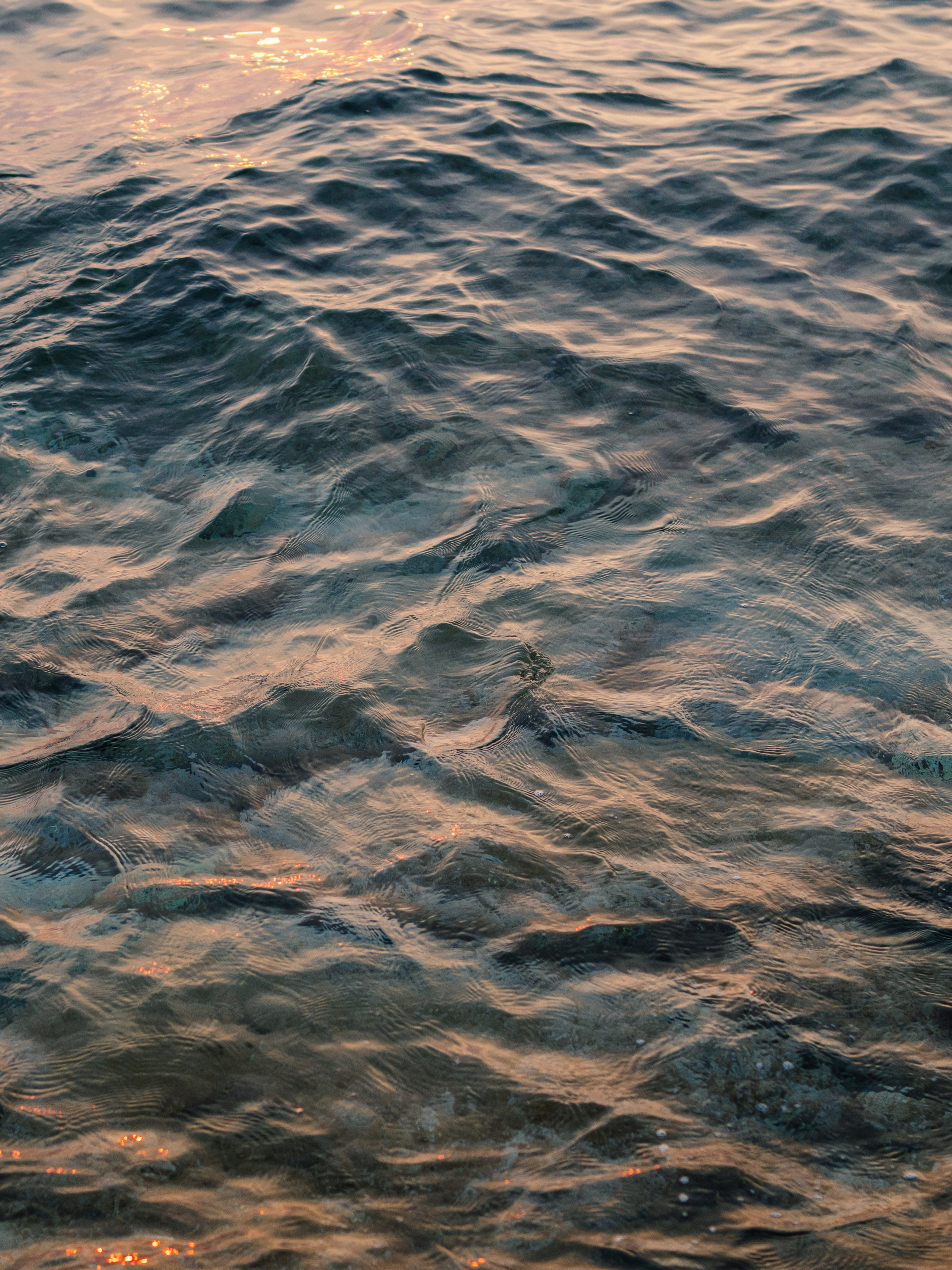 Weddings, sports and events photographer in Senigallia