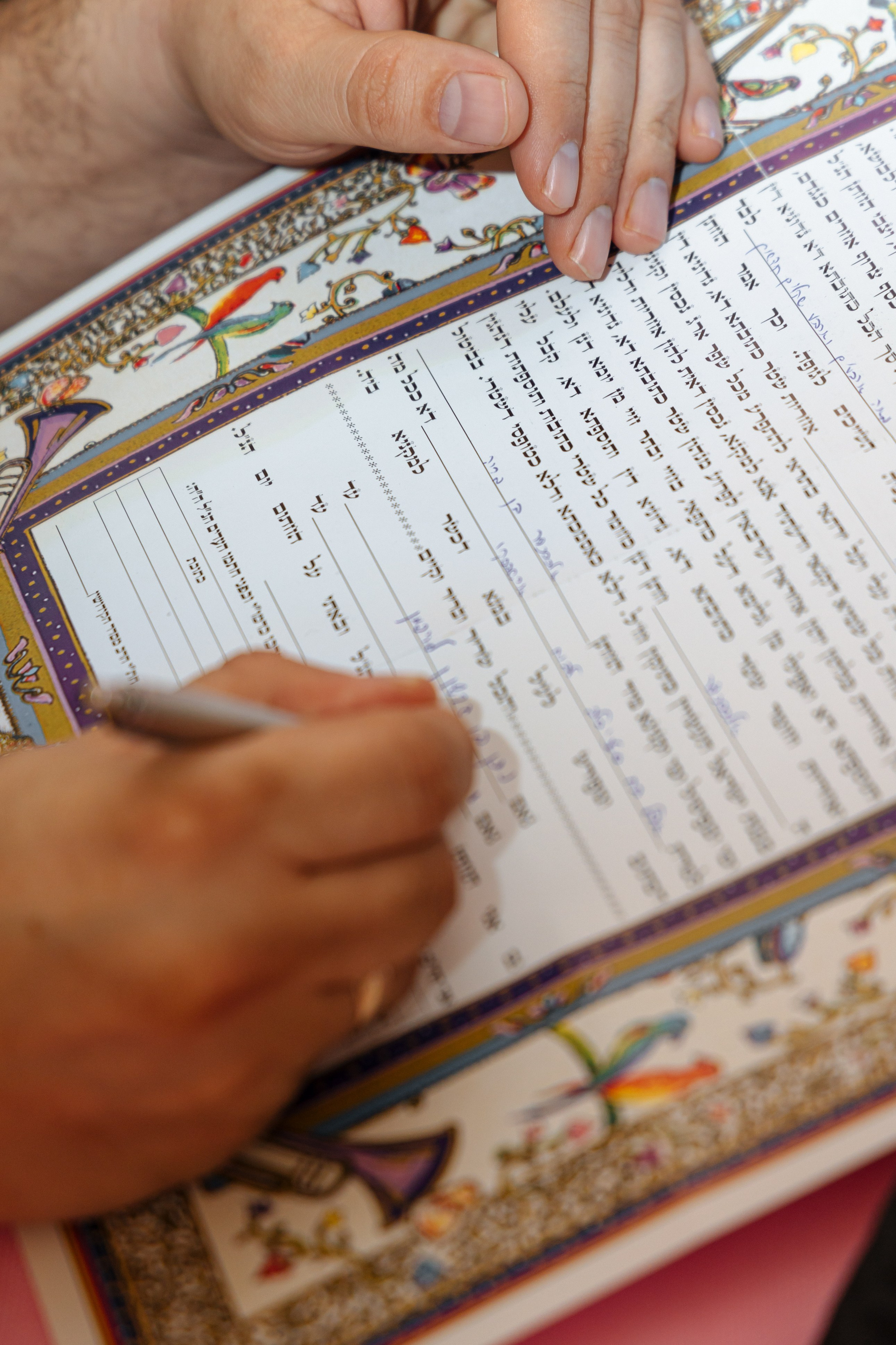 Wedding Adel & Sasha. Home