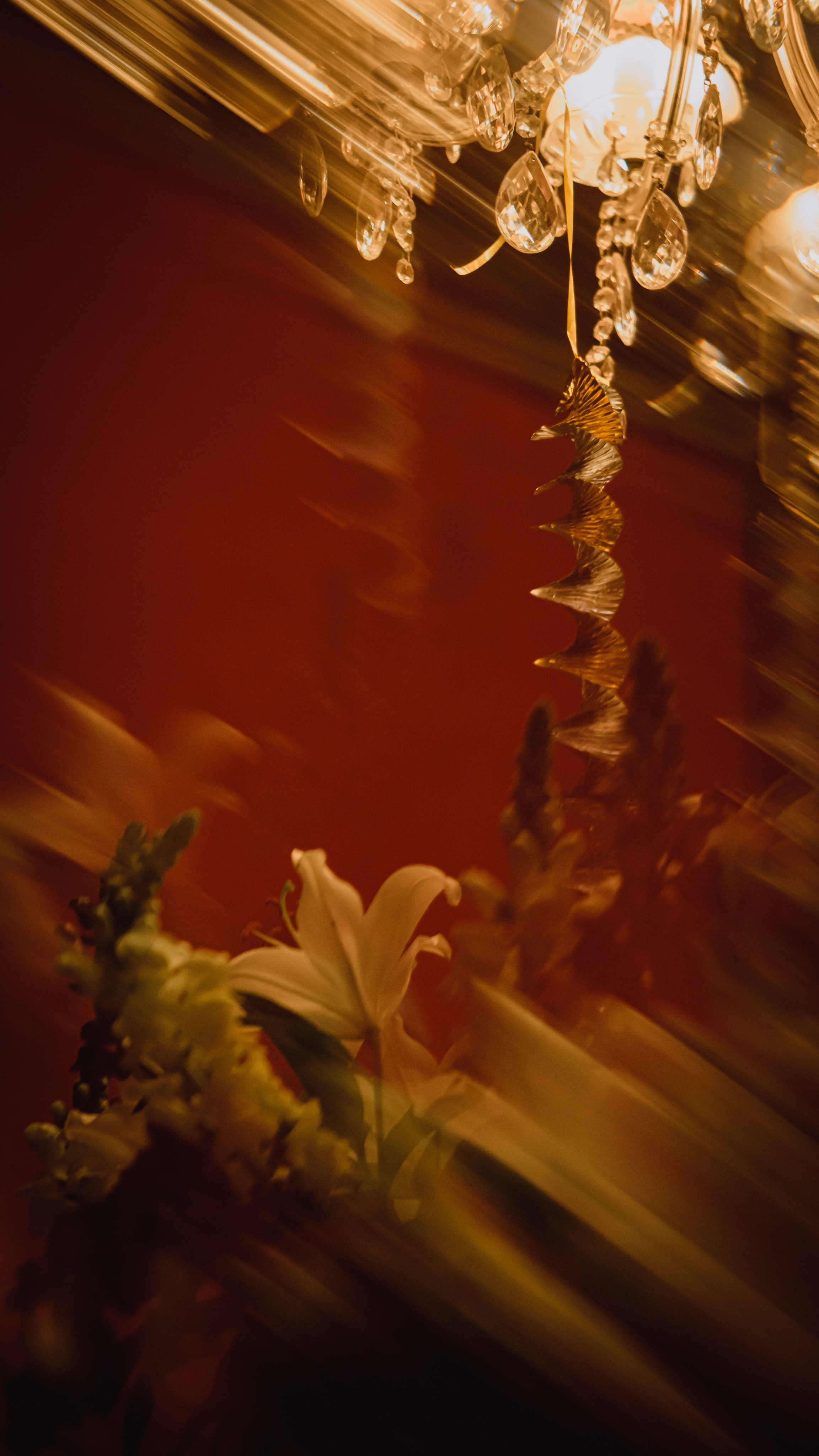 #TANGOphotography by Vera Maxin