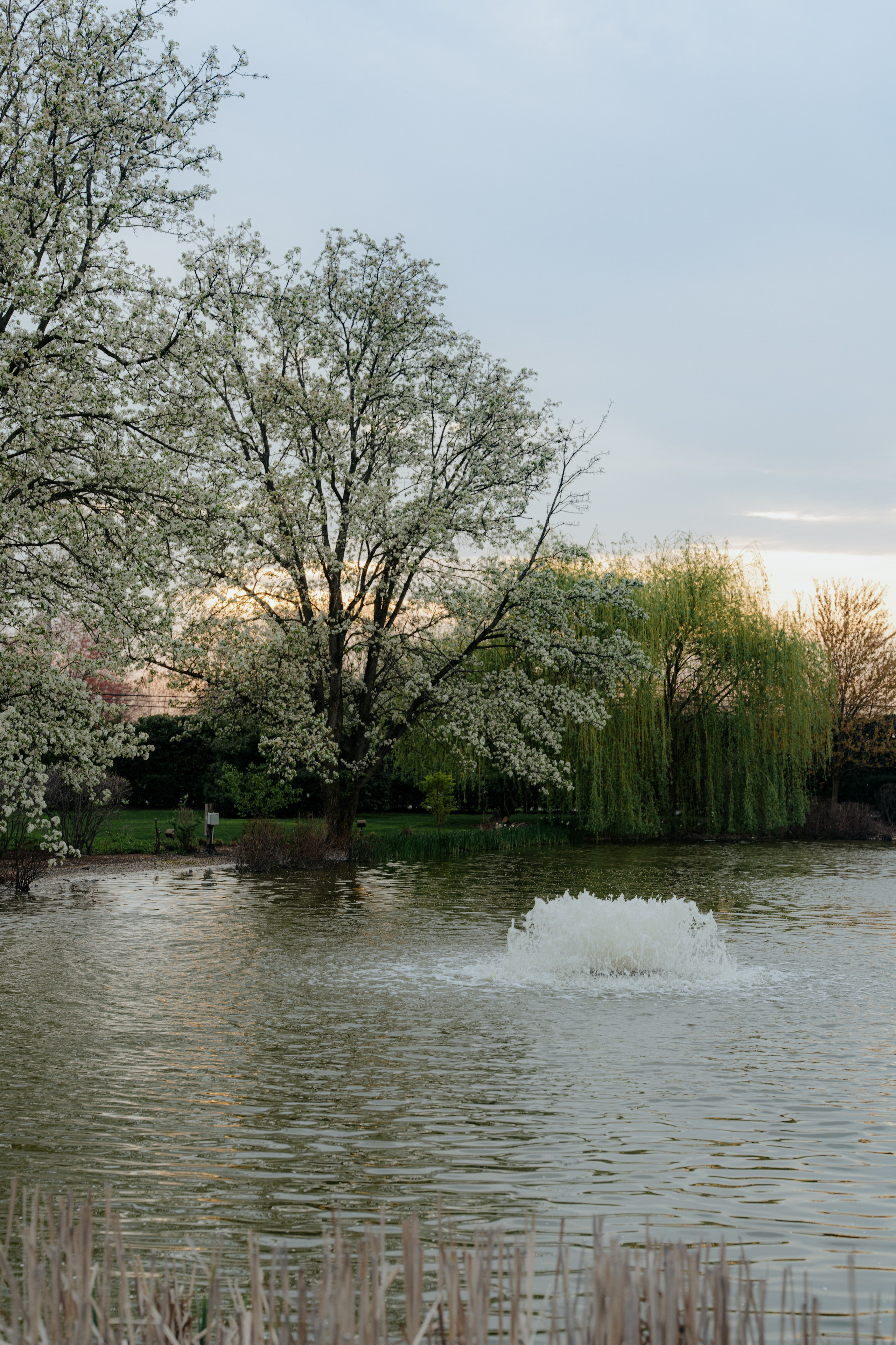 Luxury Indian Wedding Photography Gallery | New York & New Jersey & Florida | Vova Chi. Wedding photographer and videographer New York | New Jersey