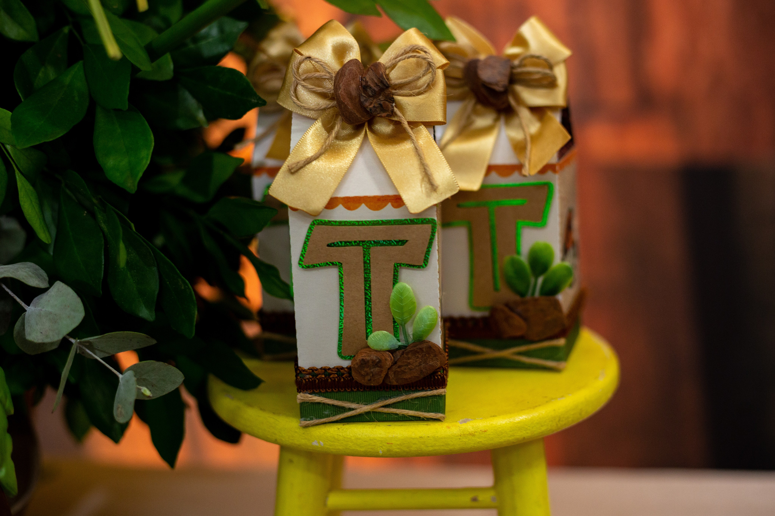 Théo 5 anos. Bem-vindo ao Meu Mundo Fotográfico