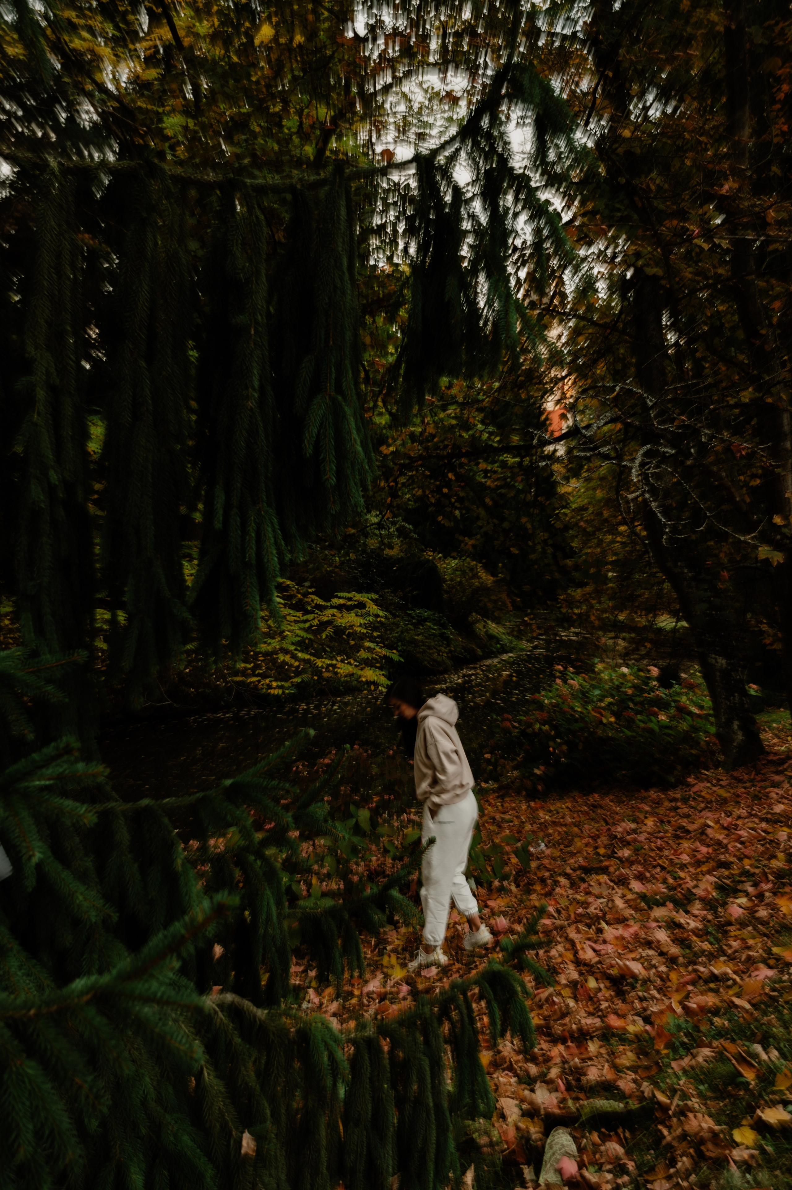 CannaXlife CBD products. ANNA-MARIA PHOTO CONTENT CREATOR — фотограф, эстет, художник и визуальный эксперт в Instagram, работающий в Праге