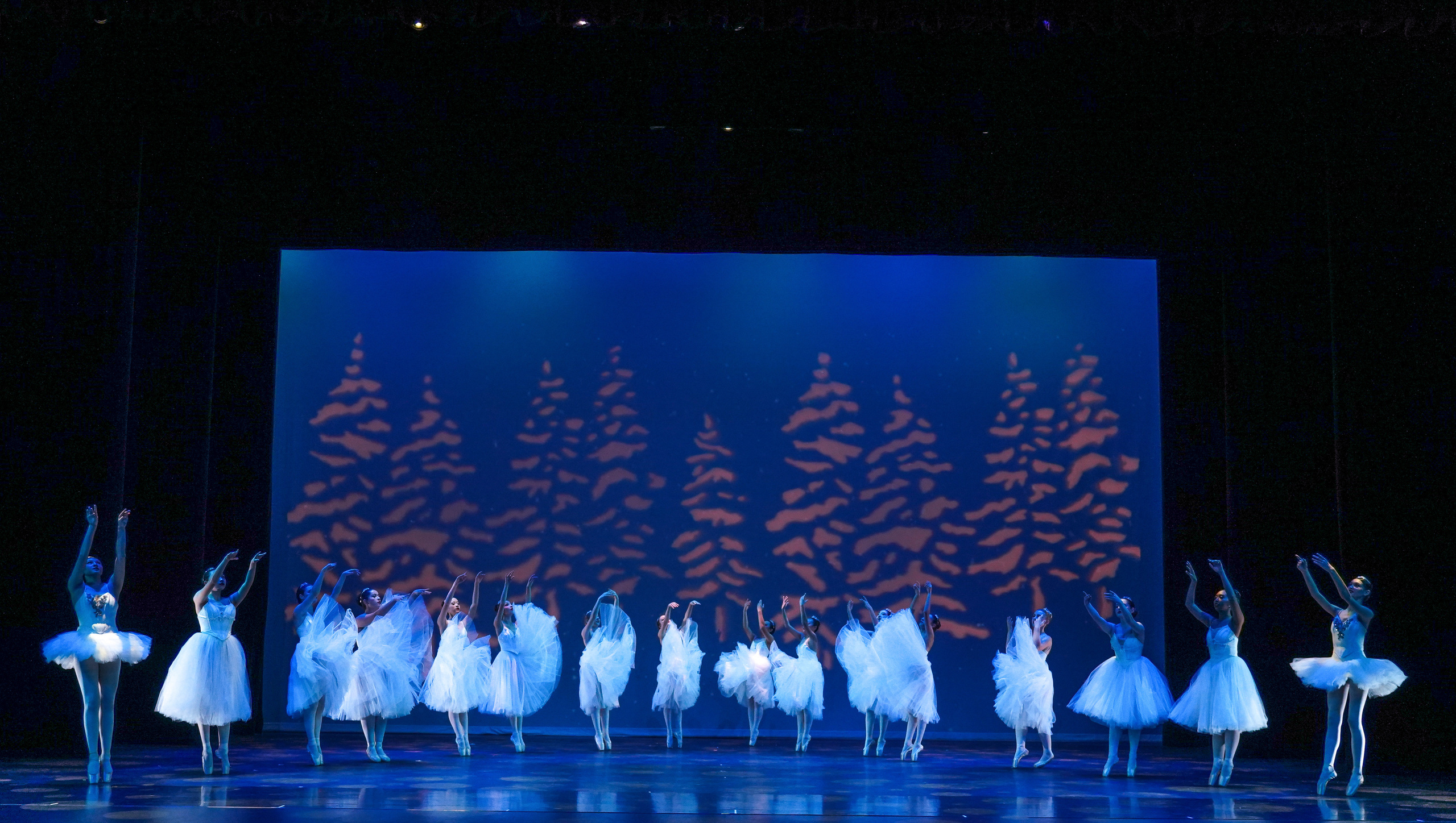 Nutcracker 2022. Santa Clarita Photographer