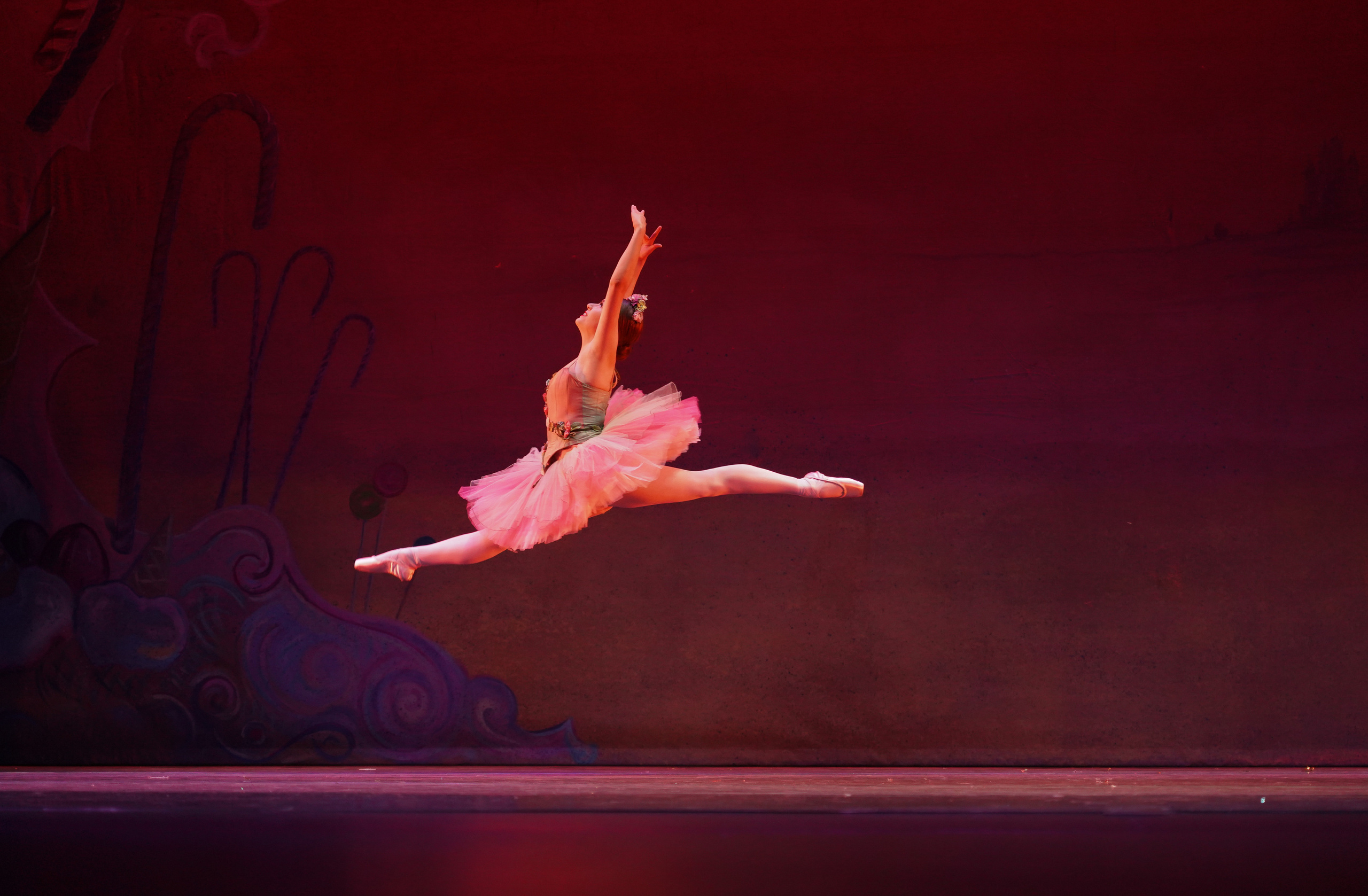 Nutcracker 2022. Santa Clarita Photographer