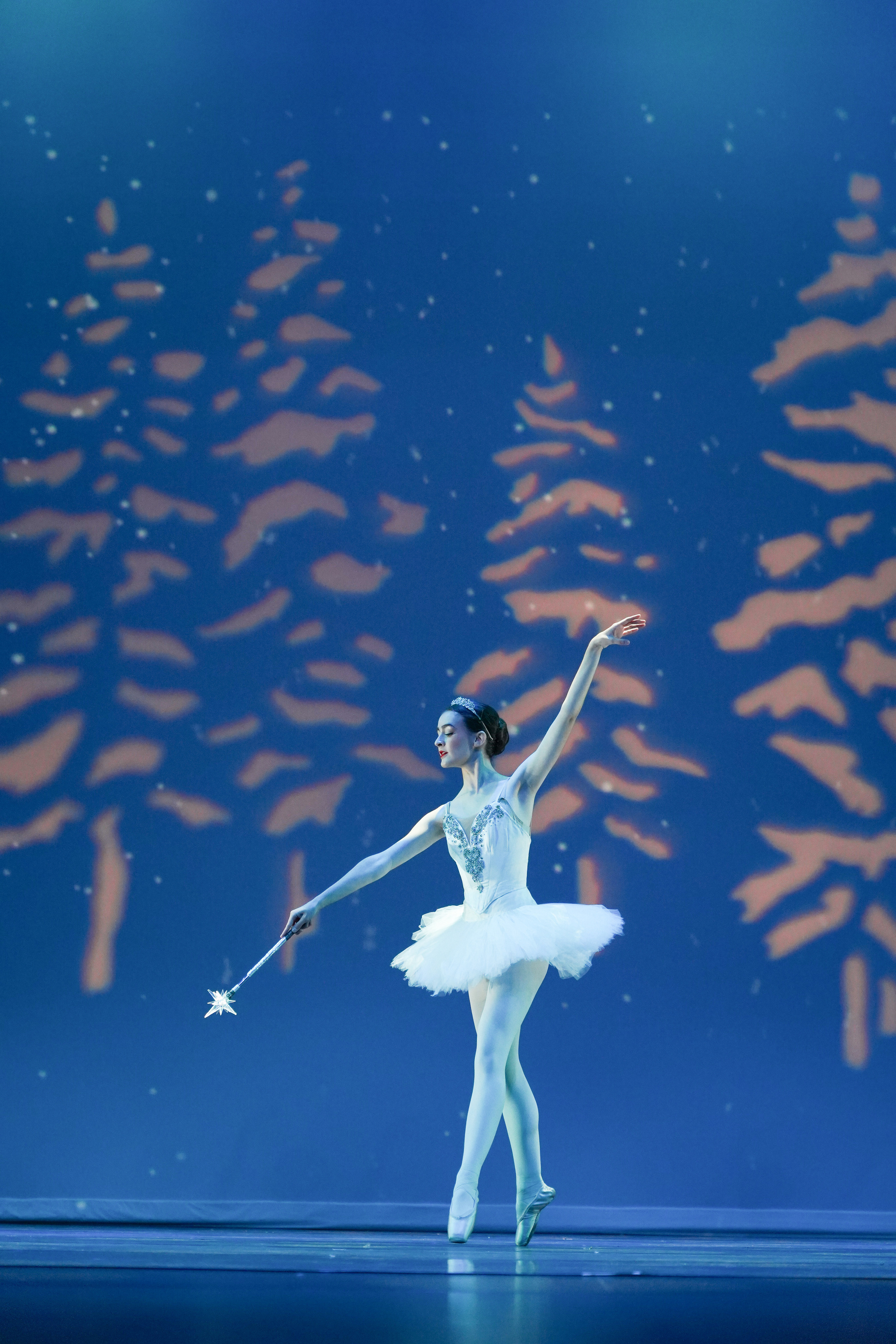 Nutcracker 2022. Santa Clarita Photographer