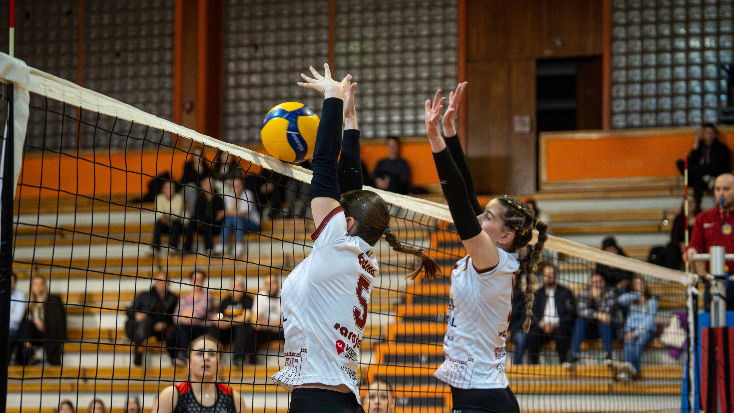 ŽOK Bosna — 2024/2025