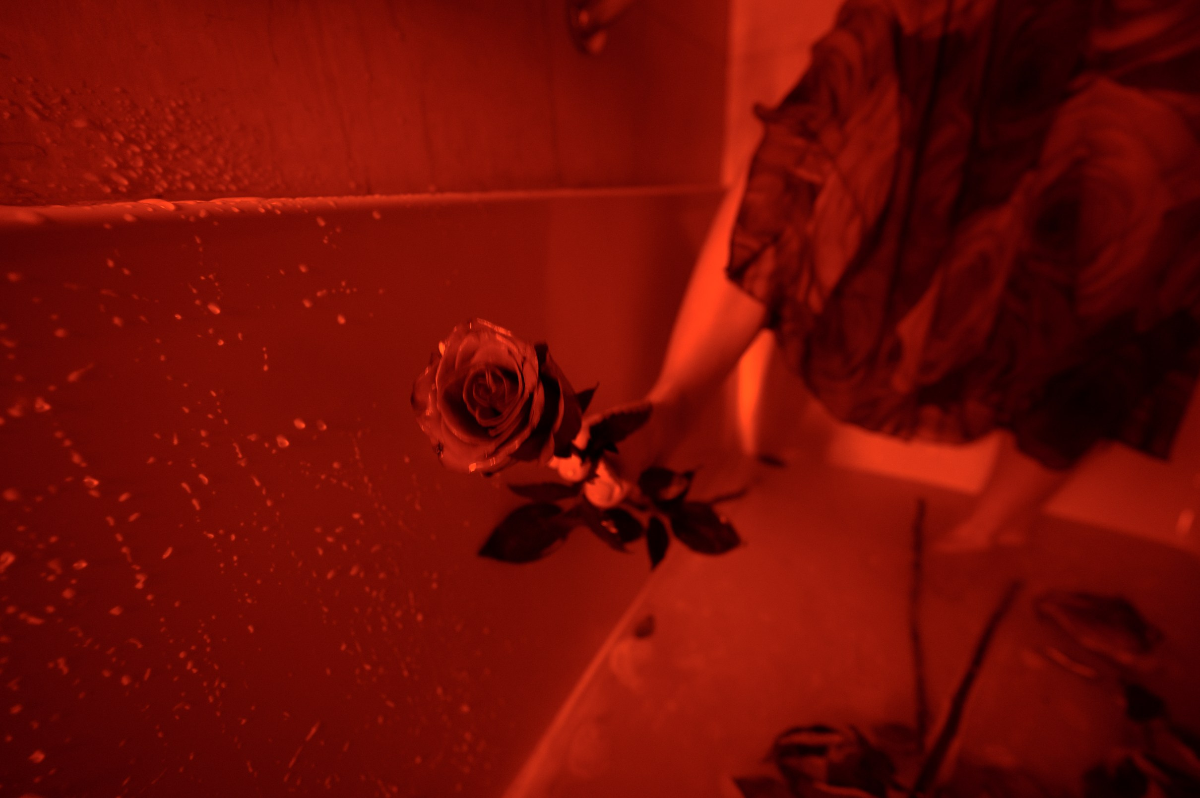 Kama. Prague Portrait Photographer | Portrétní Fotograf Praha